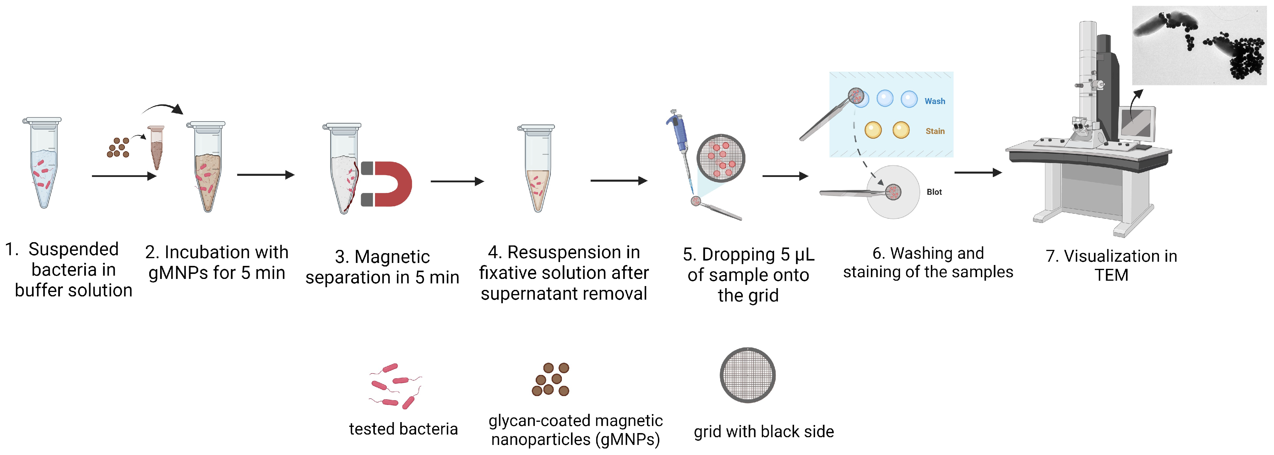 Biosensors 13 00902 sch001