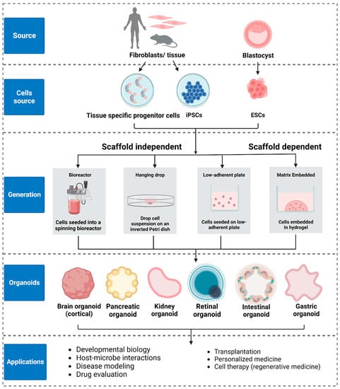 Biosensors 13 00905 g005