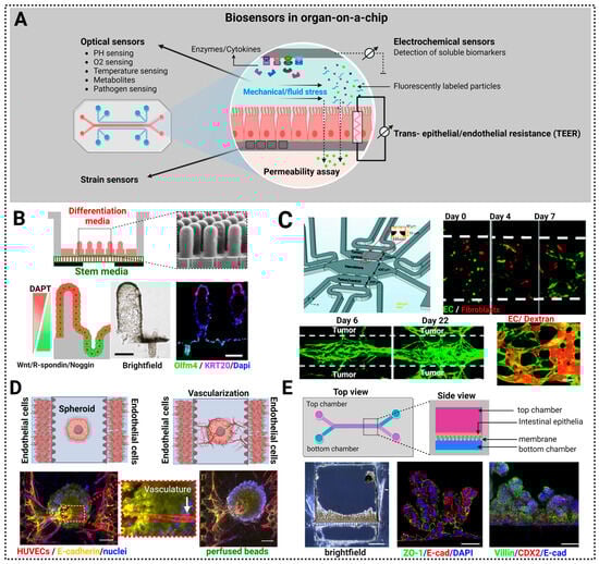 Biosensors 13 00905 g007