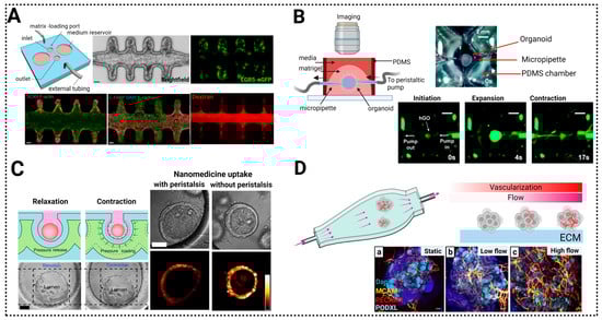 Biosensors 13 00905 g008