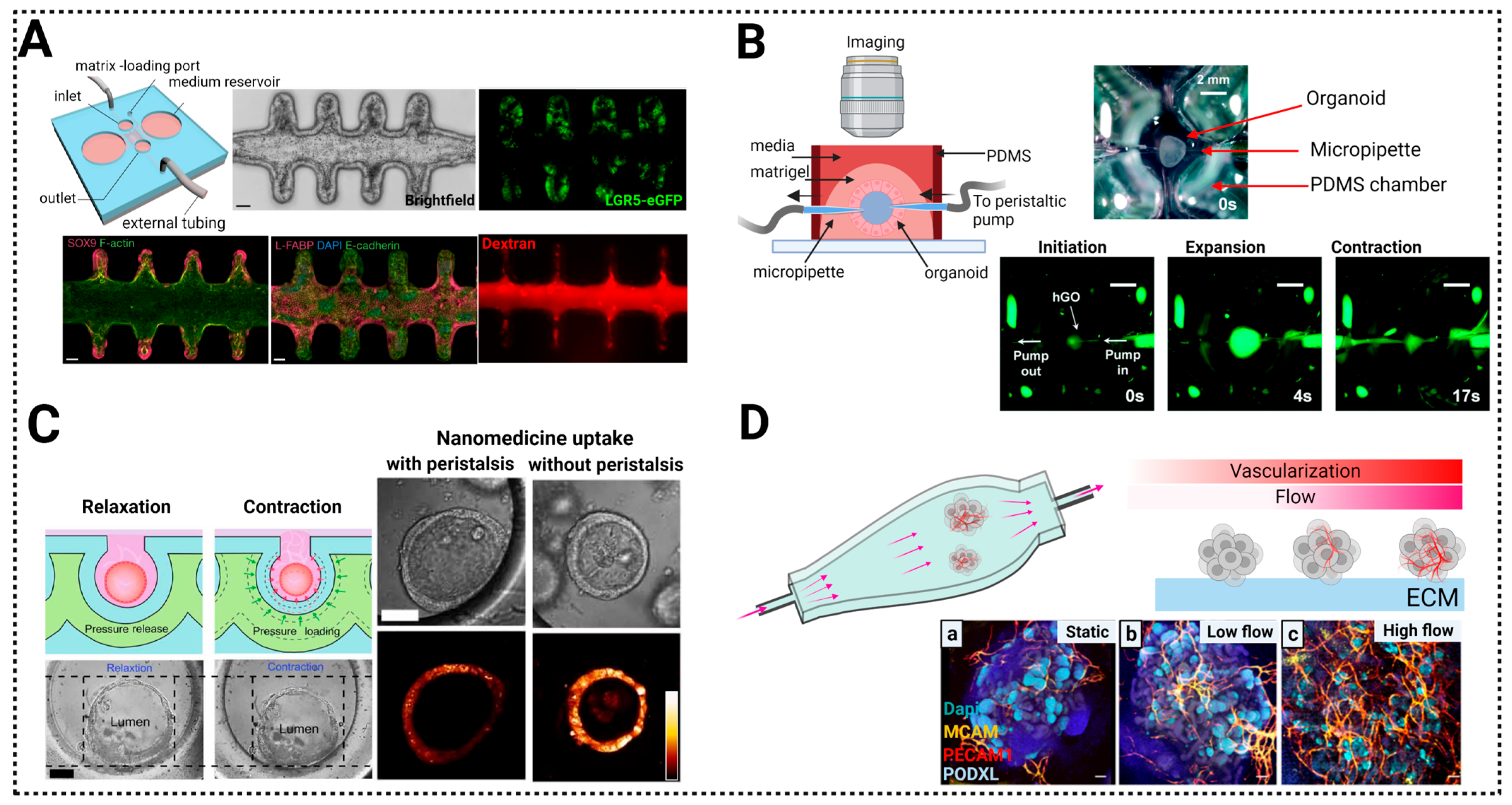 Biosensors 13 00905 g008 Biosensors 13 00905 g008