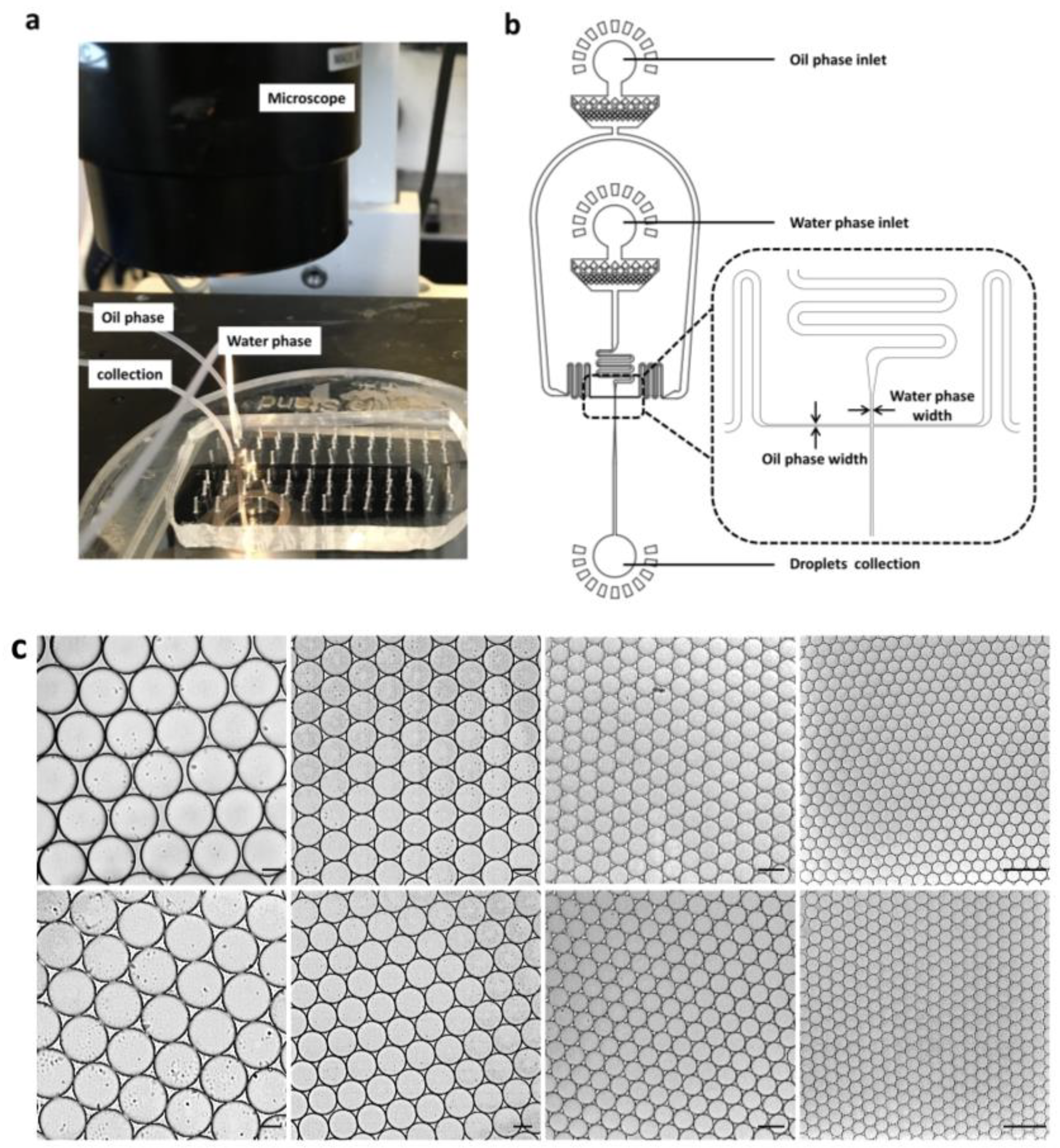 Biosensors 13 00910 g001