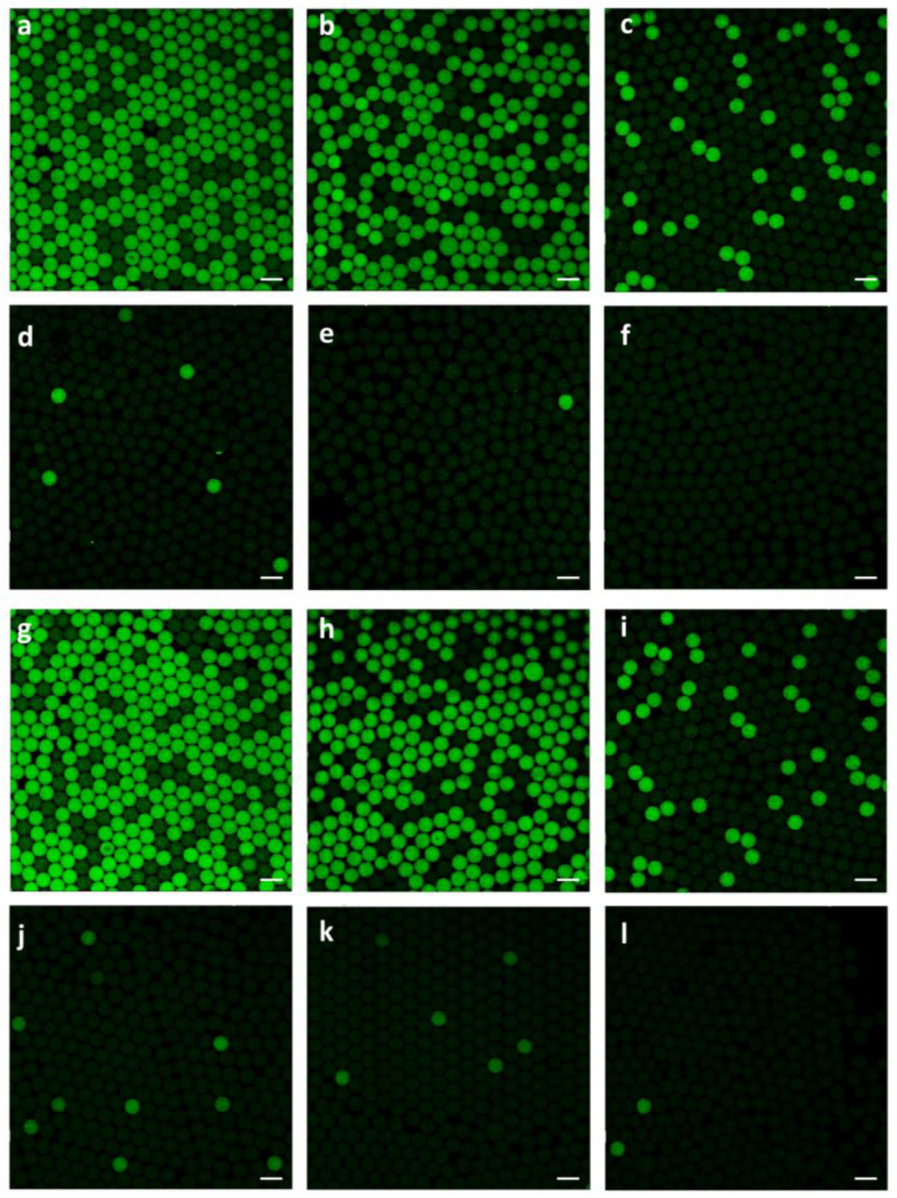 Biosensors 13 00910 g003