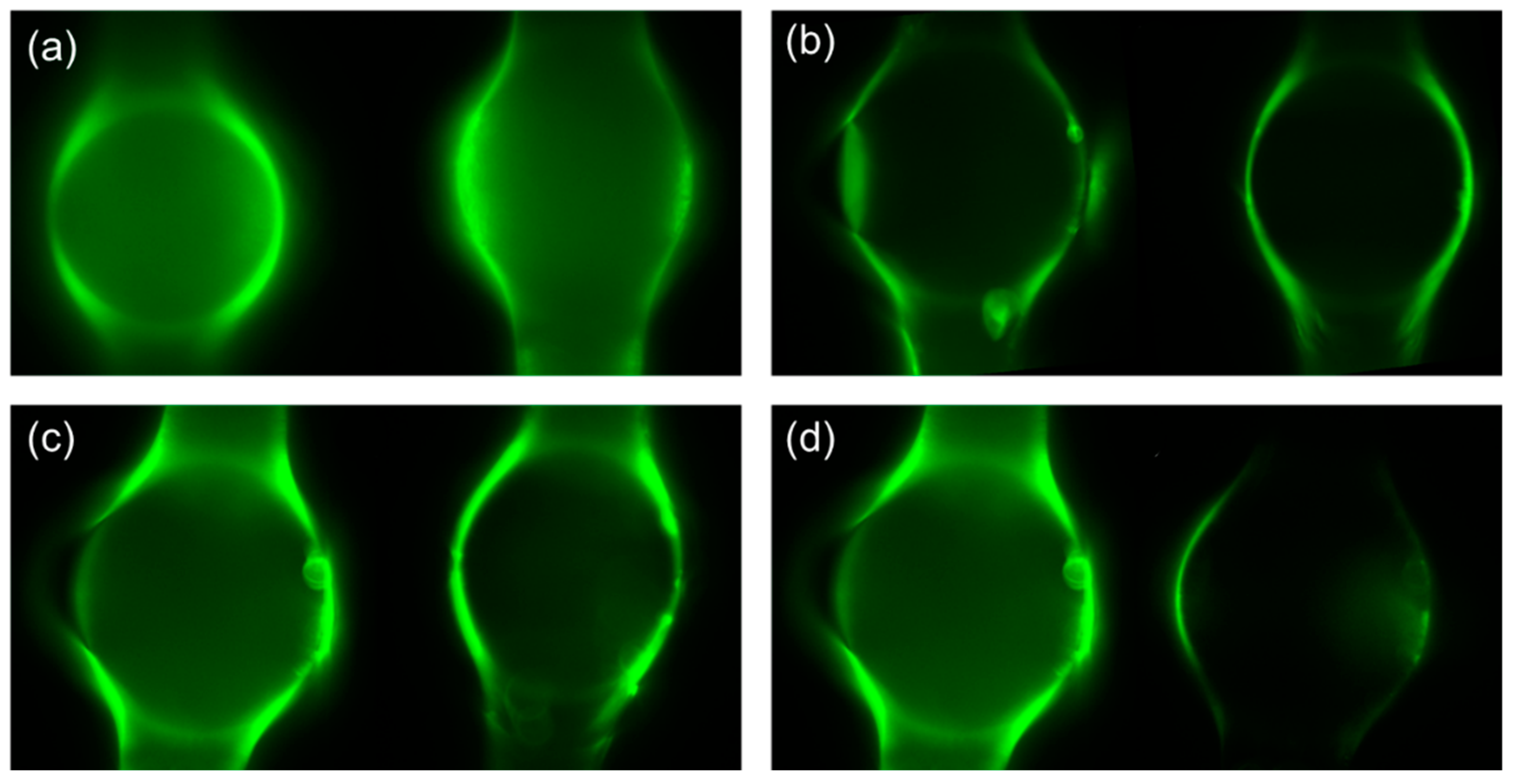 Biosensors 13 00911 g004