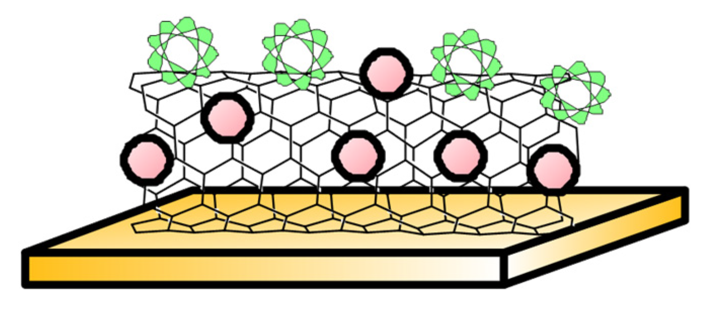 Biosensors 13 00912 g003