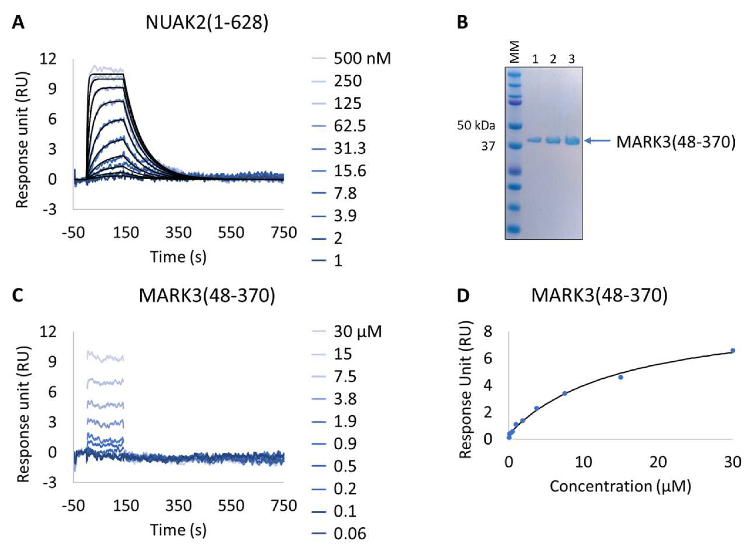 Biosensors 13 00913 g005