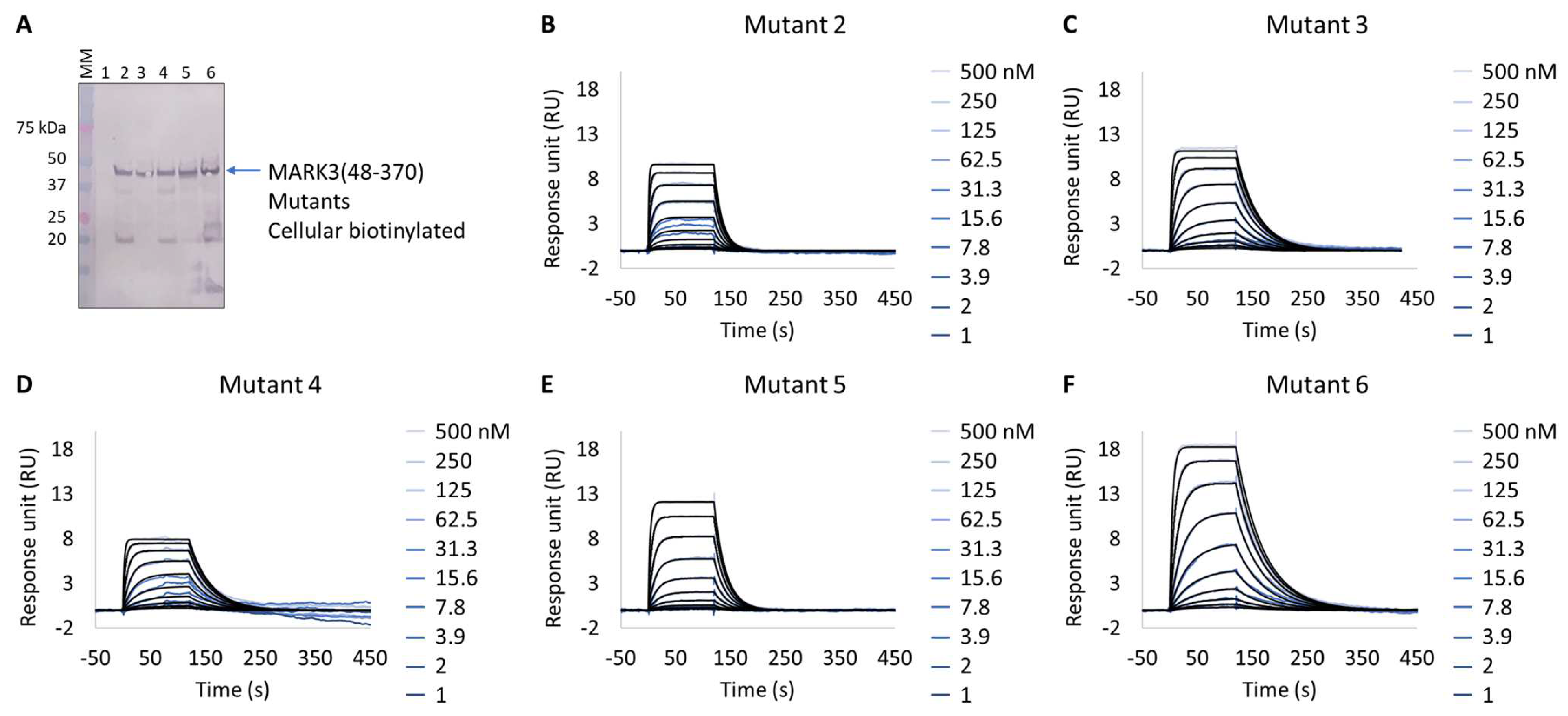 Biosensors 13 00913 g006