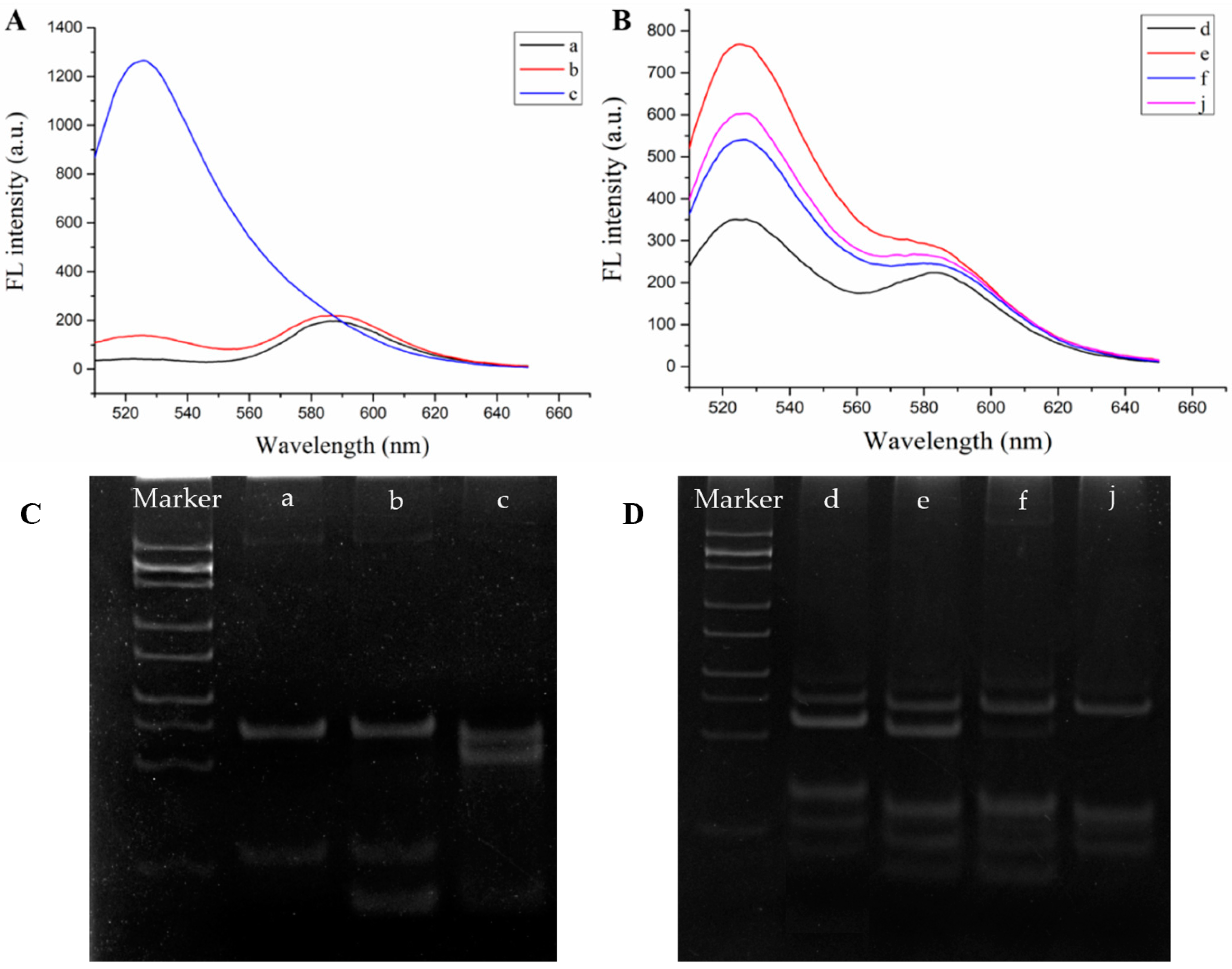 Biosensors 13 00918 g001