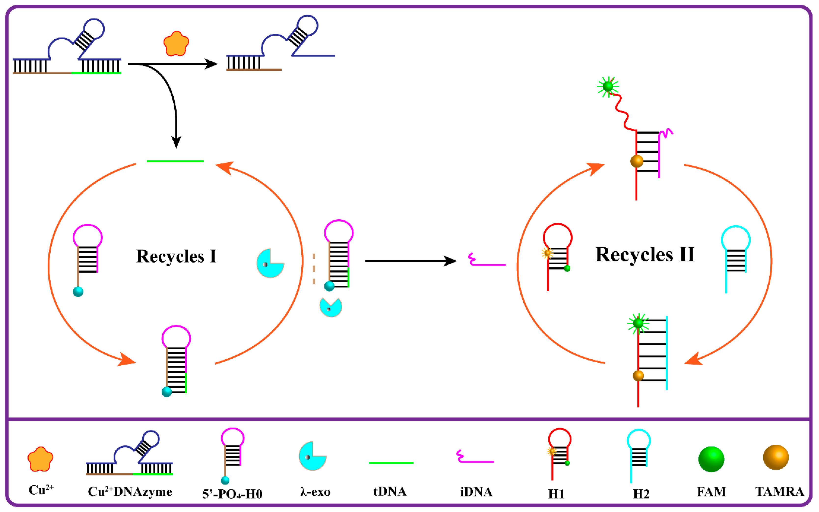 Biosensors 13 00918 sch001