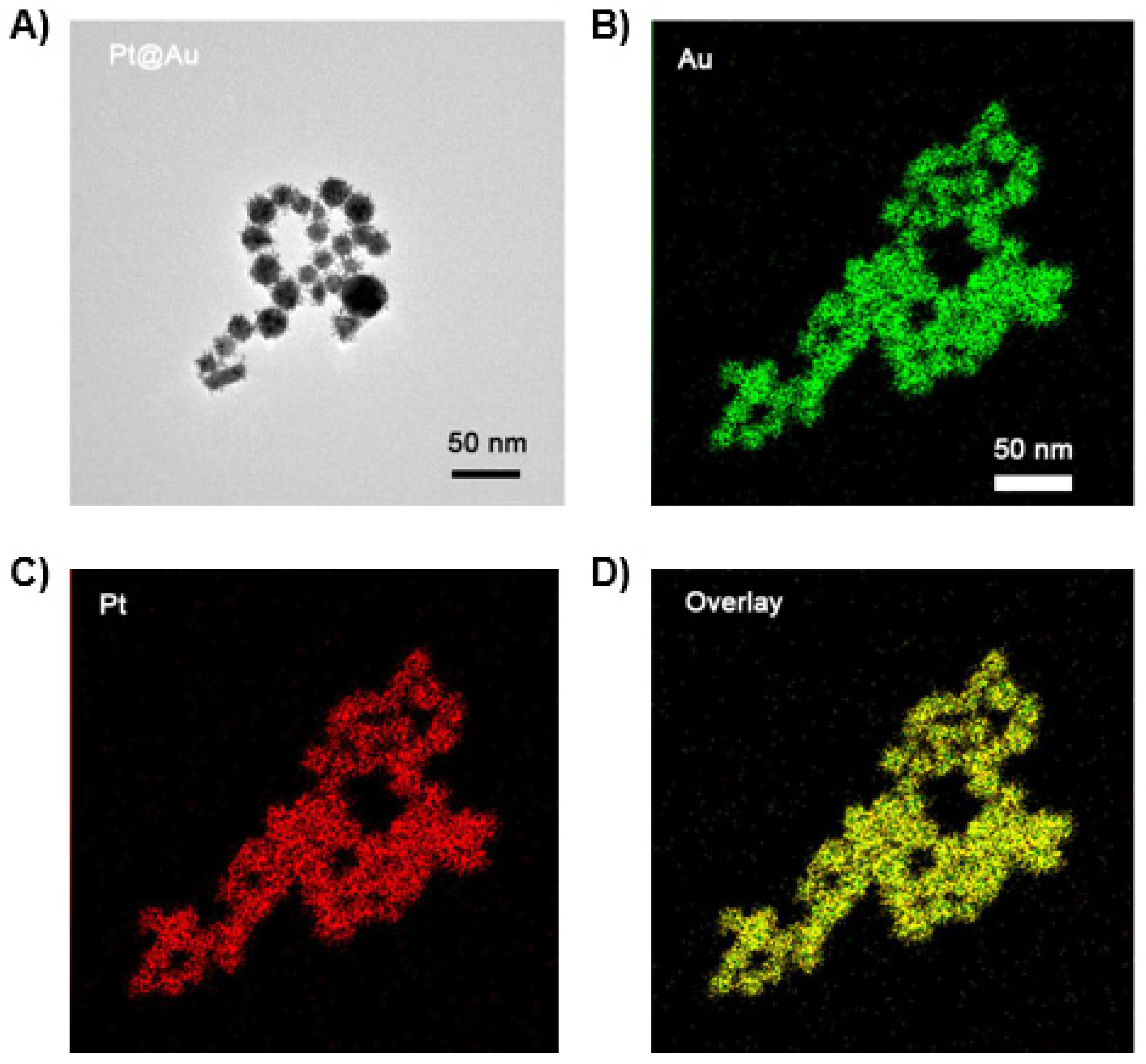 Biosensors 13 00919 g001
