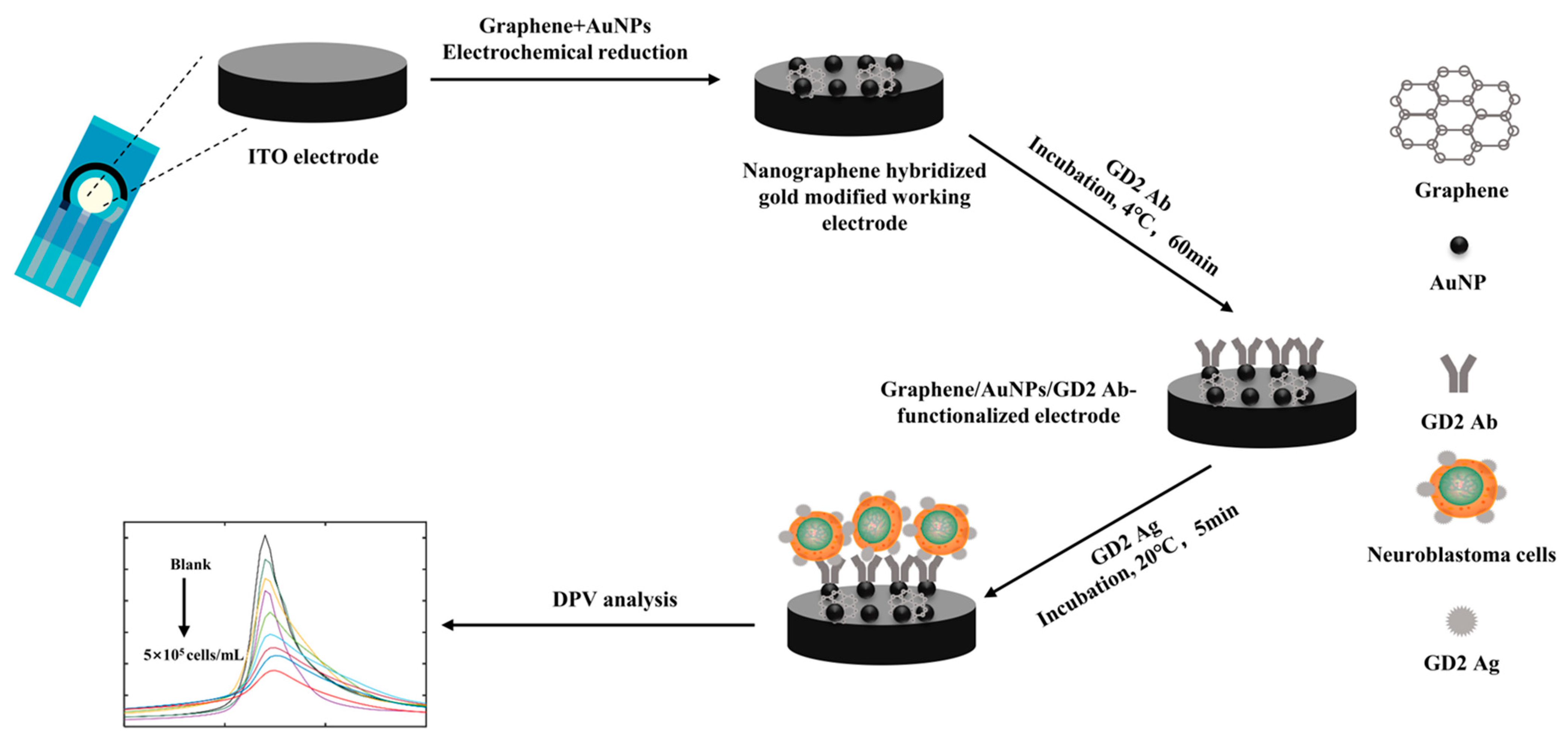 Biosensors 13 00920 g001