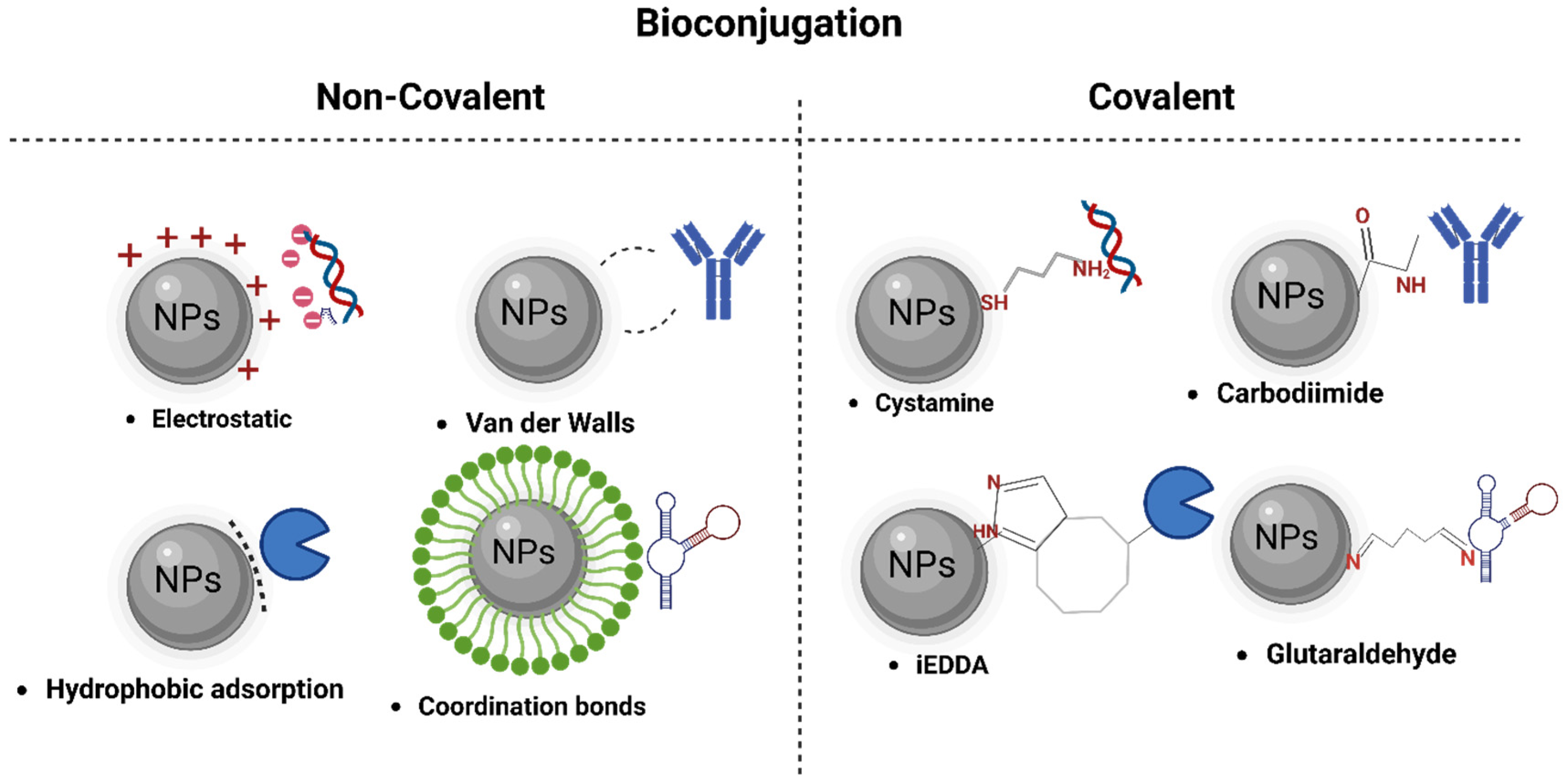 Biosensors 13 00922 g002