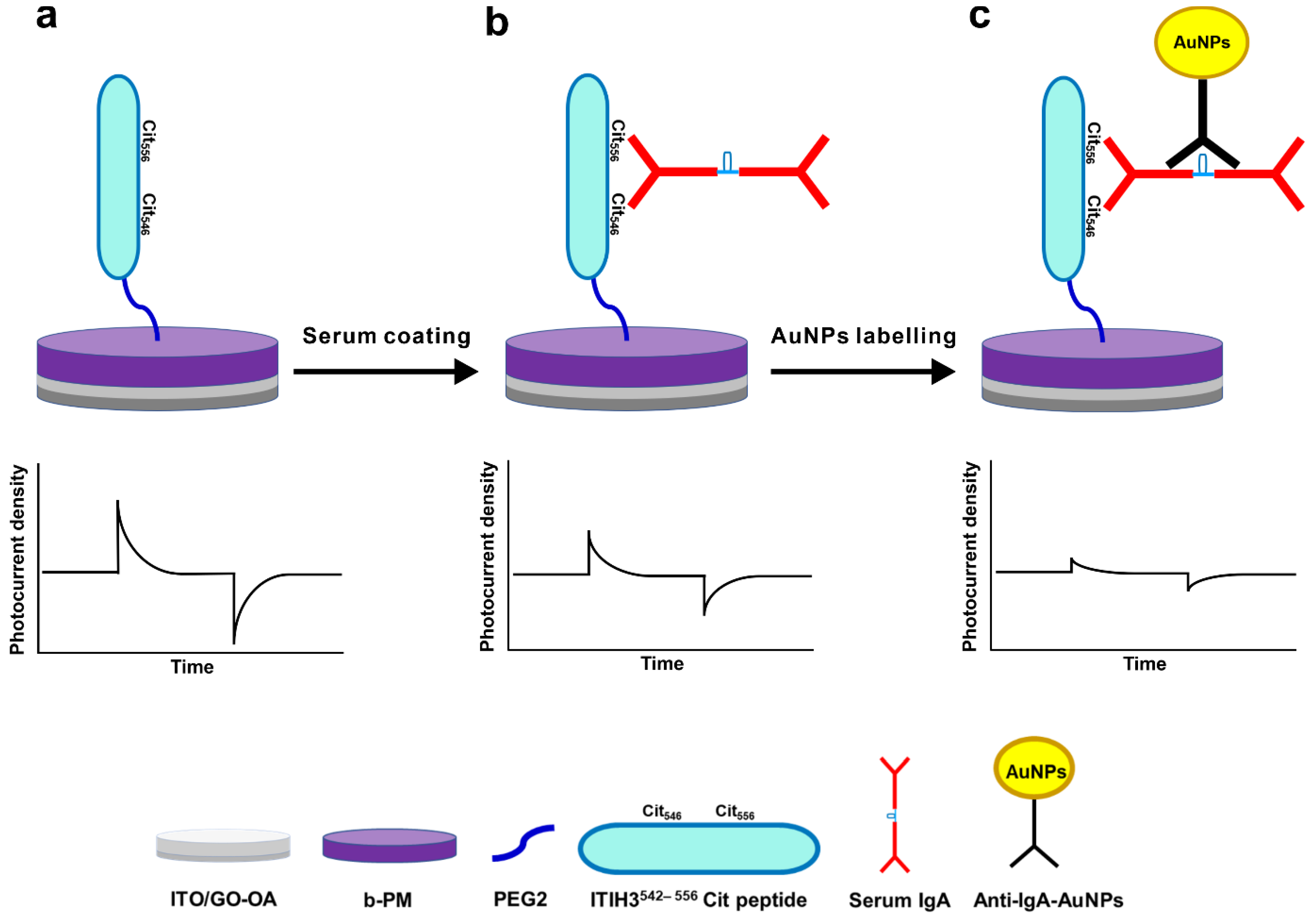 Biosensors 13 00929 g002