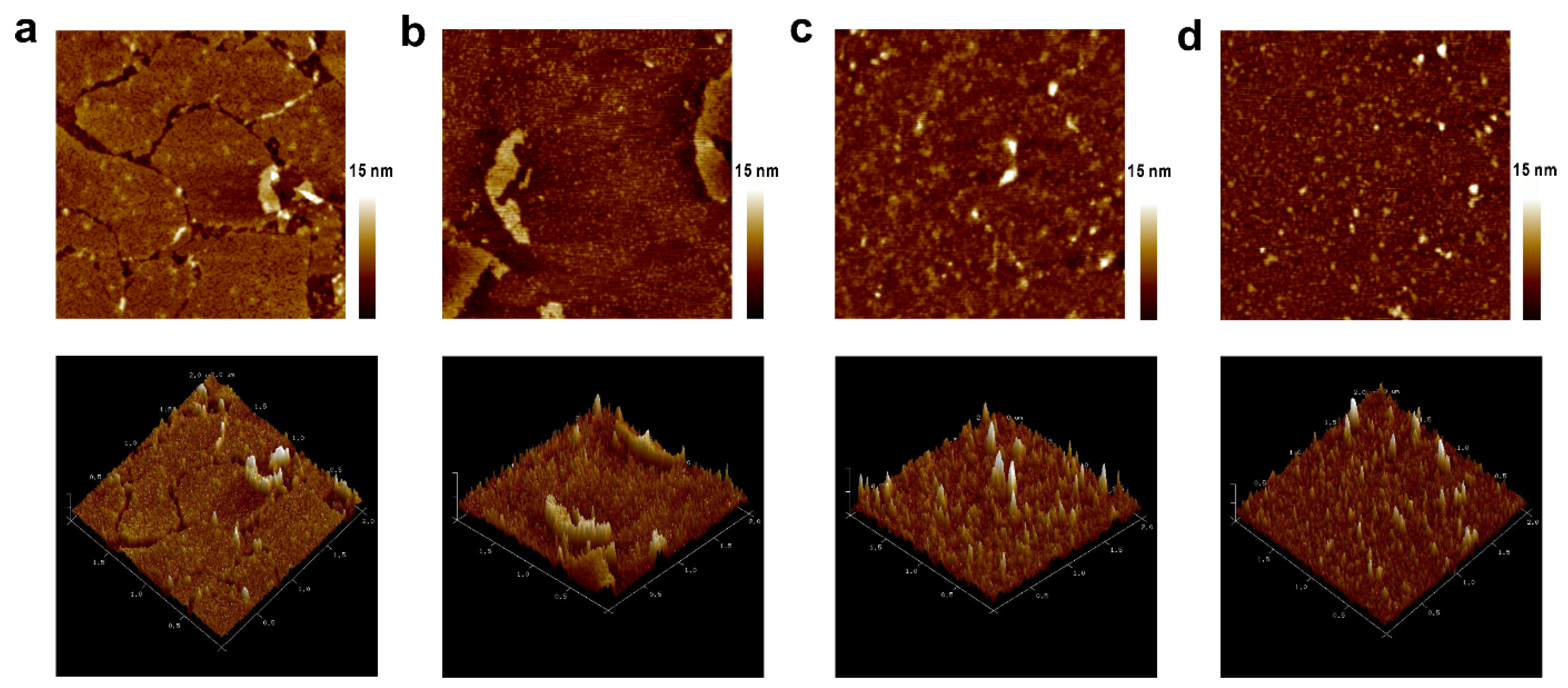 Biosensors 13 00929 g003