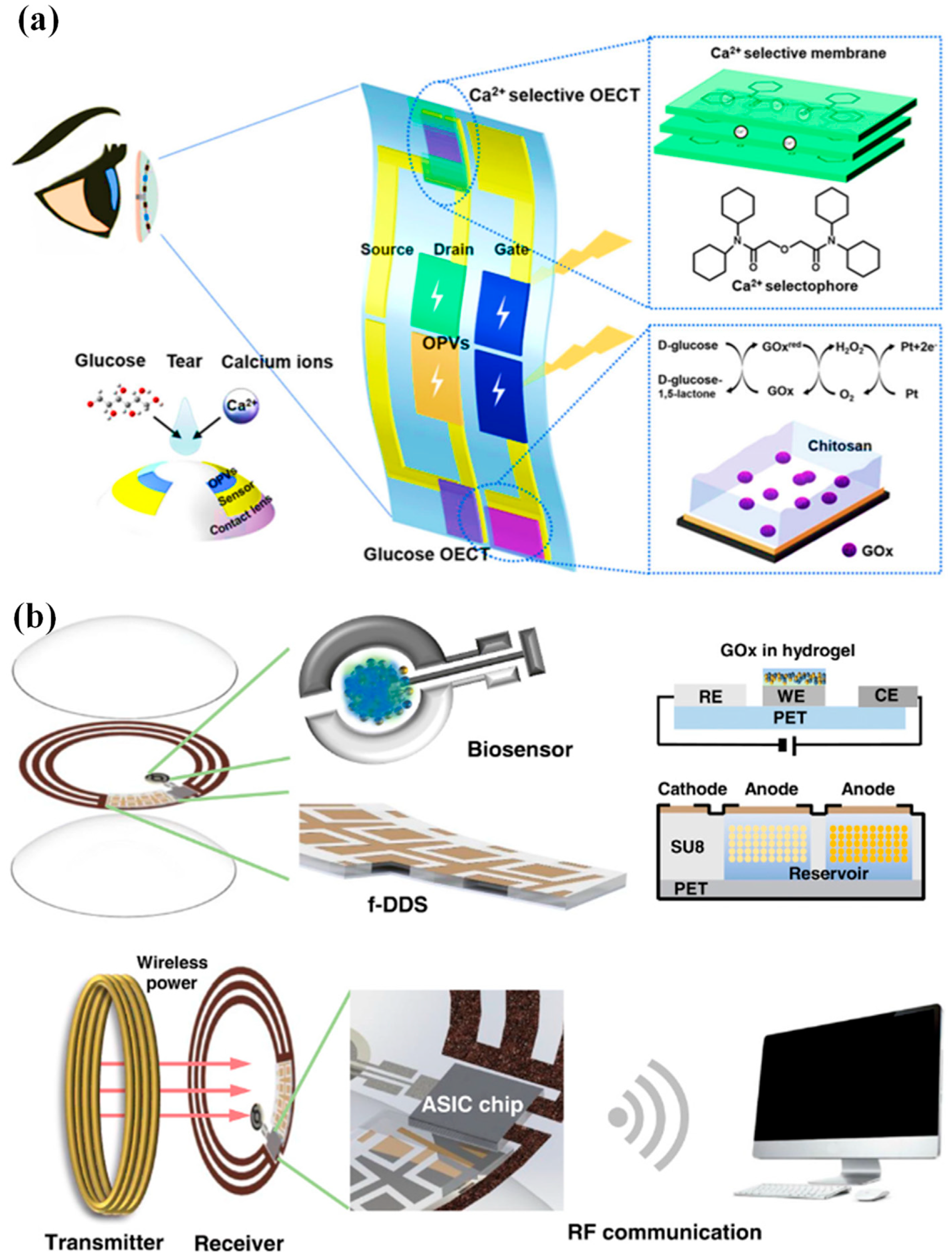 Biosensors 13 00933 g003