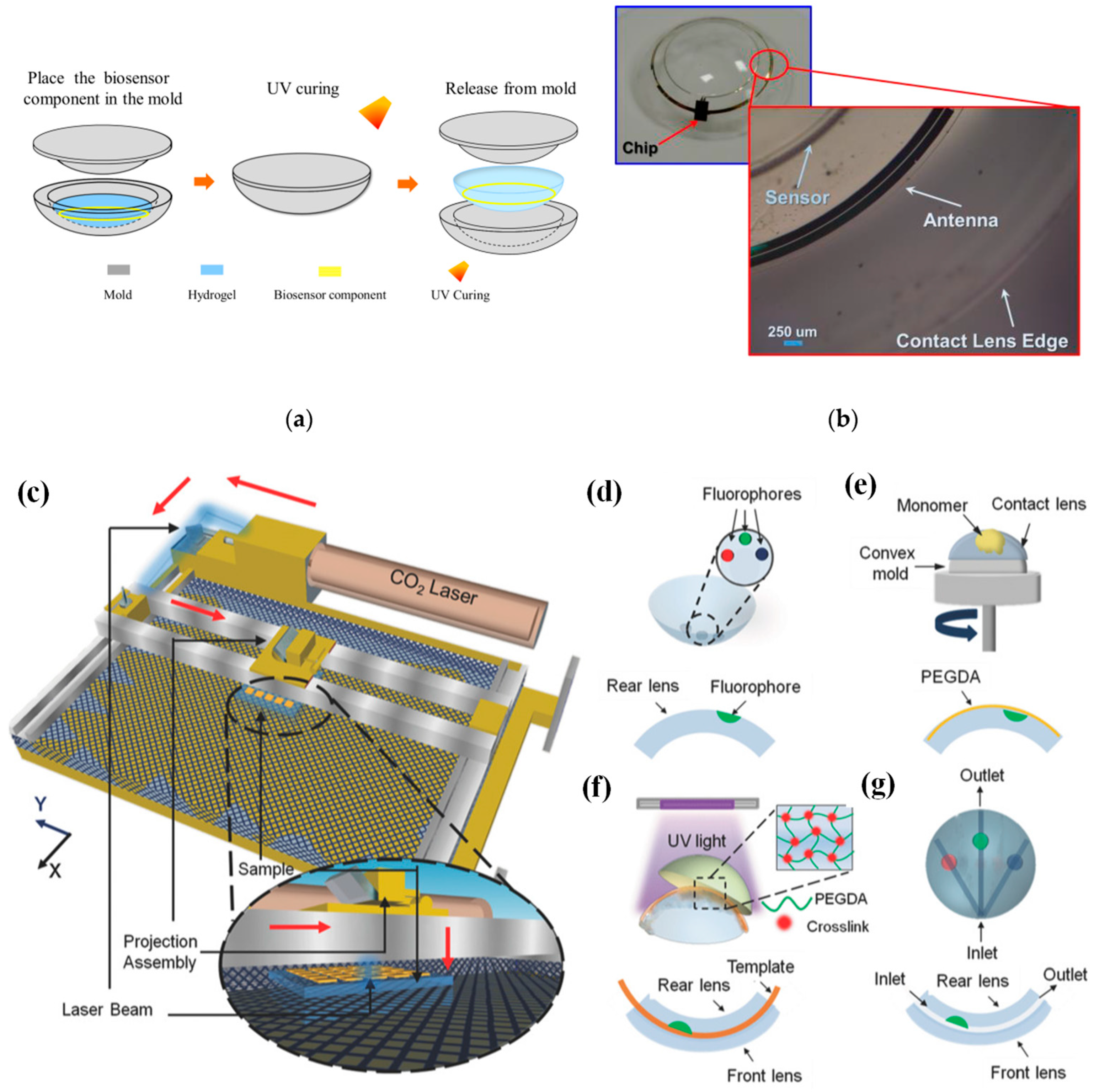 Biosensors 13 00933 g004