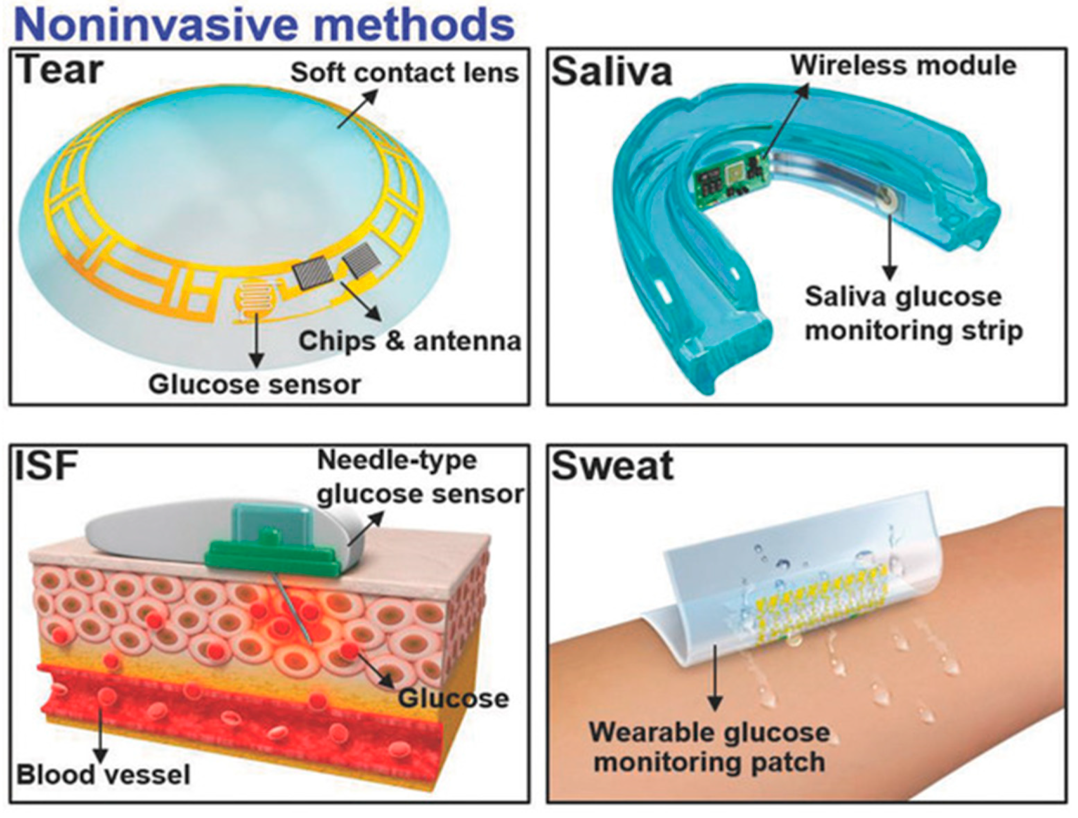 Biosensors 13 00933 g005