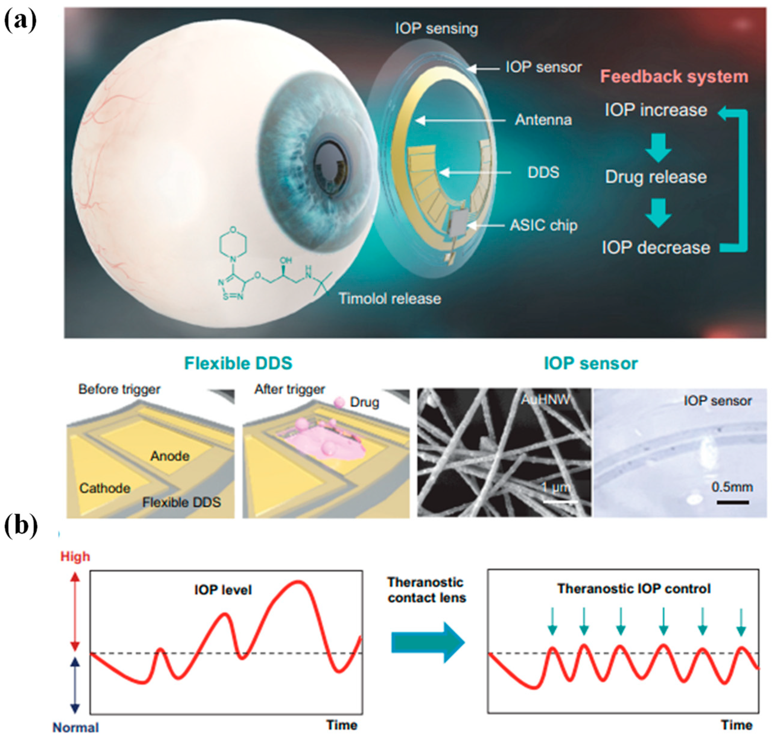 Biosensors 13 00933 g007