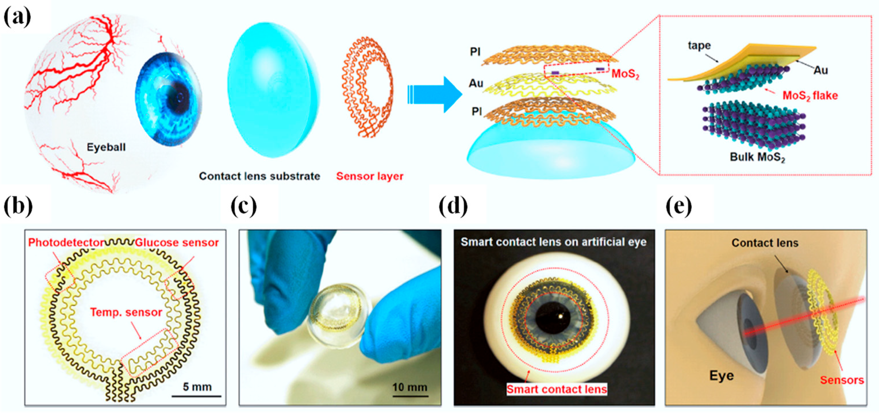 Biosensors 13 00933 g008