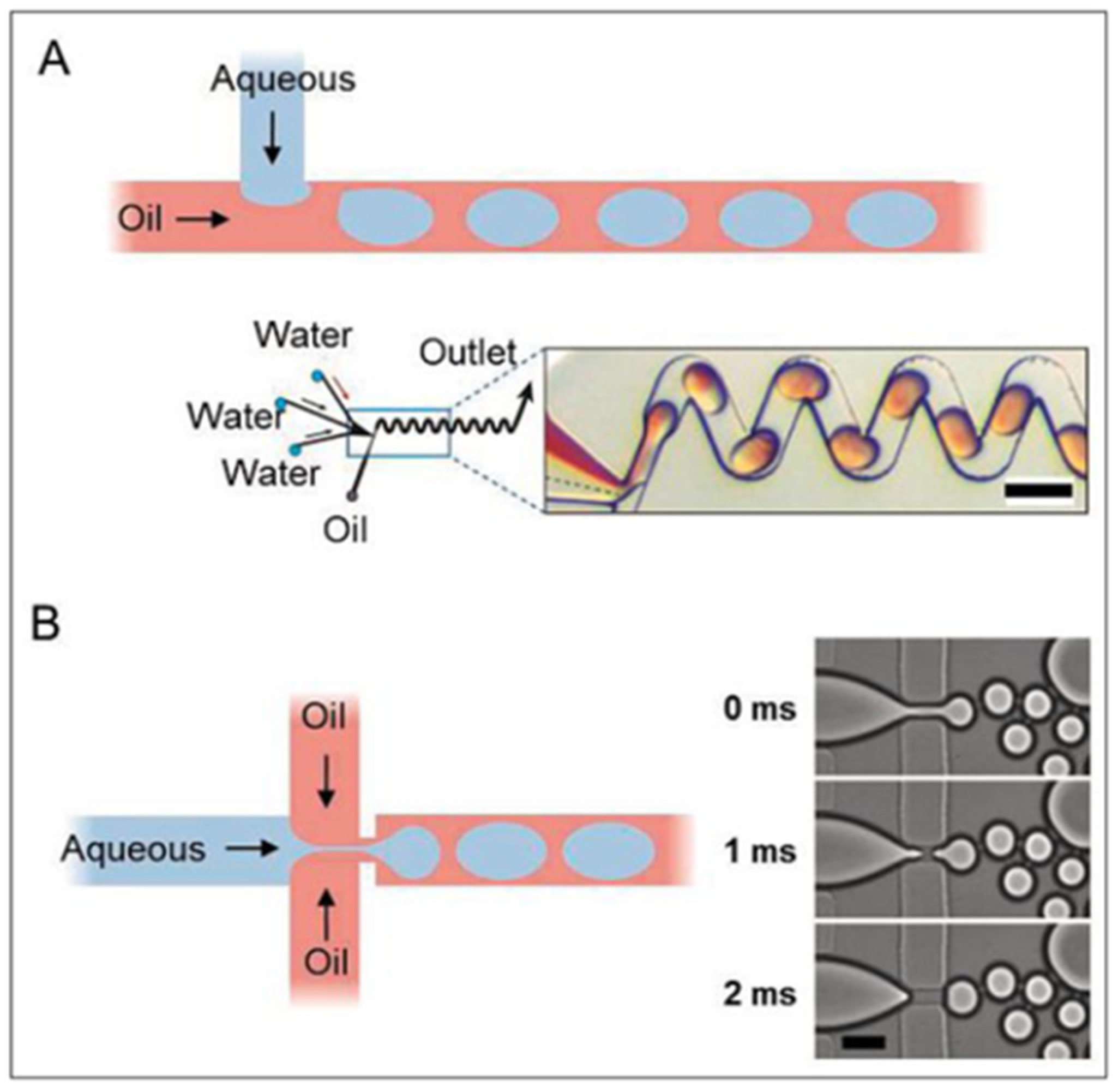 Biosensors 13 00935 g004