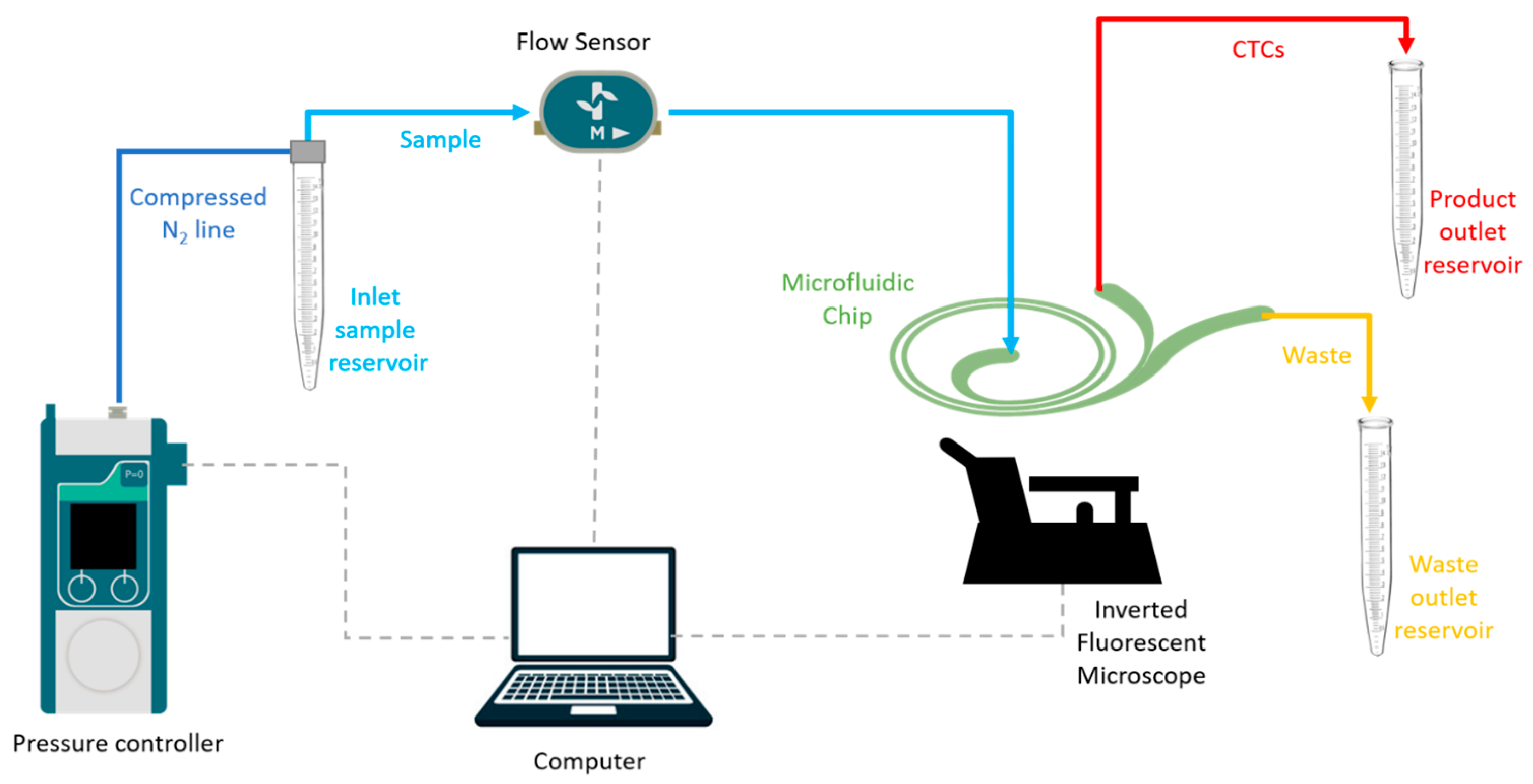 Biosensors 13 00938 g004