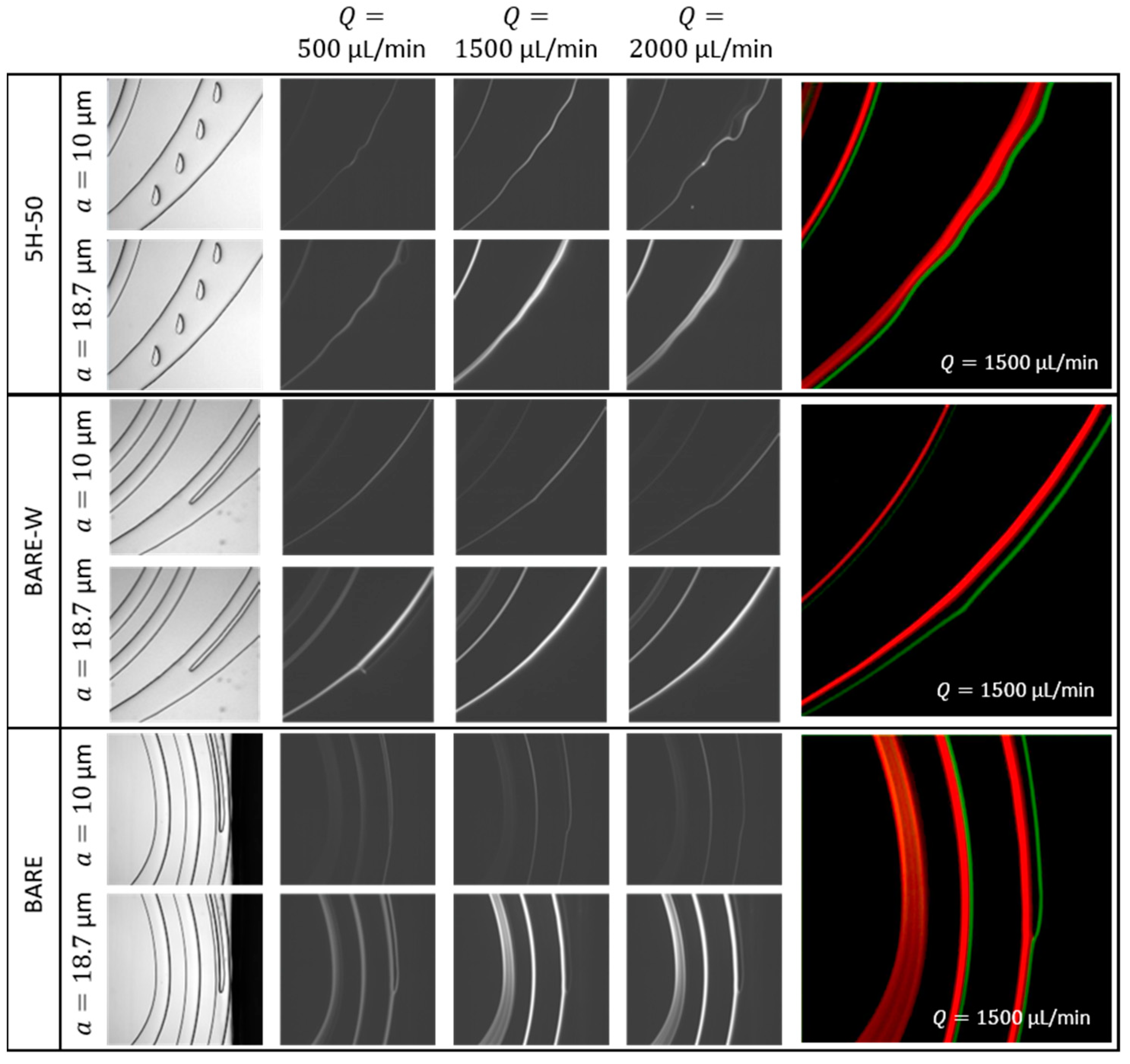 Biosensors 13 00938 g006