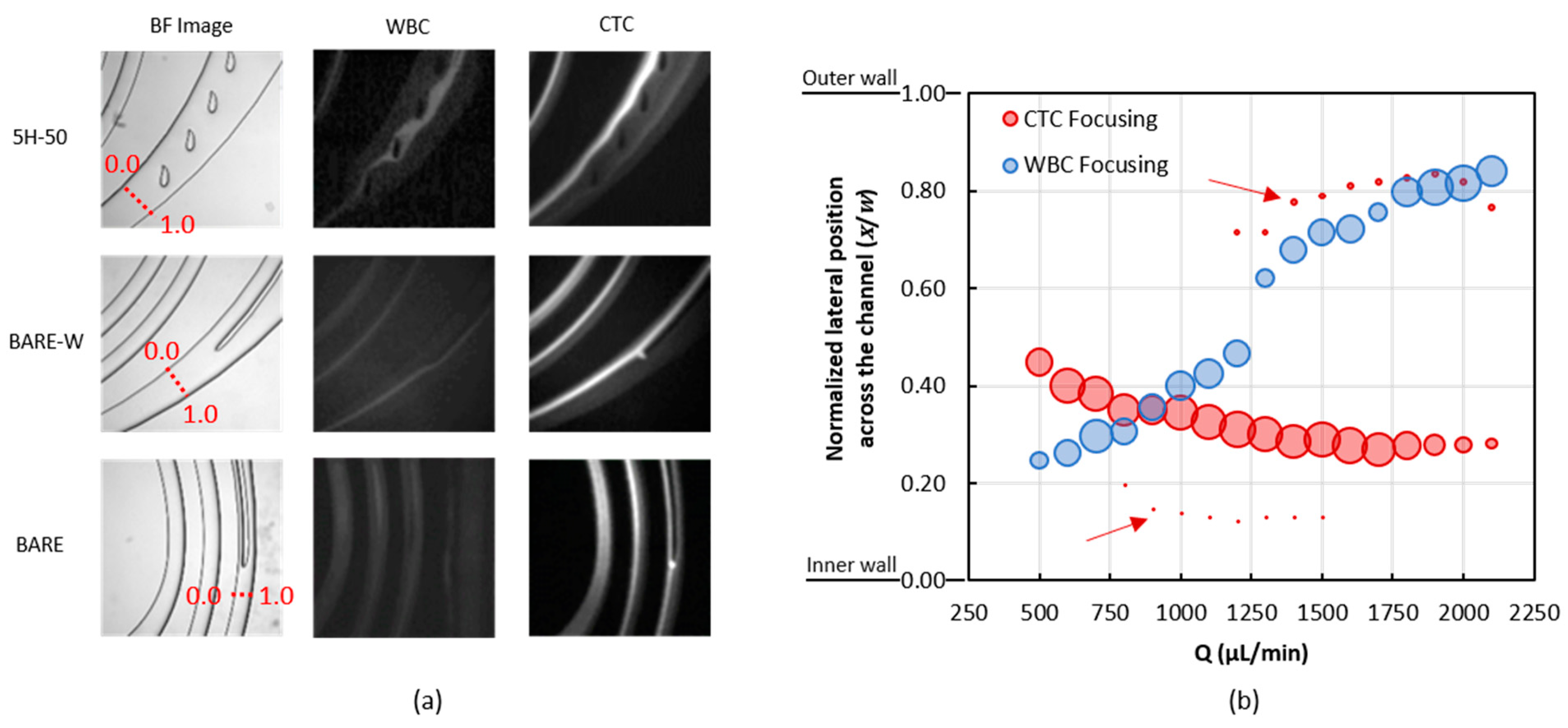 Biosensors 13 00938 g007