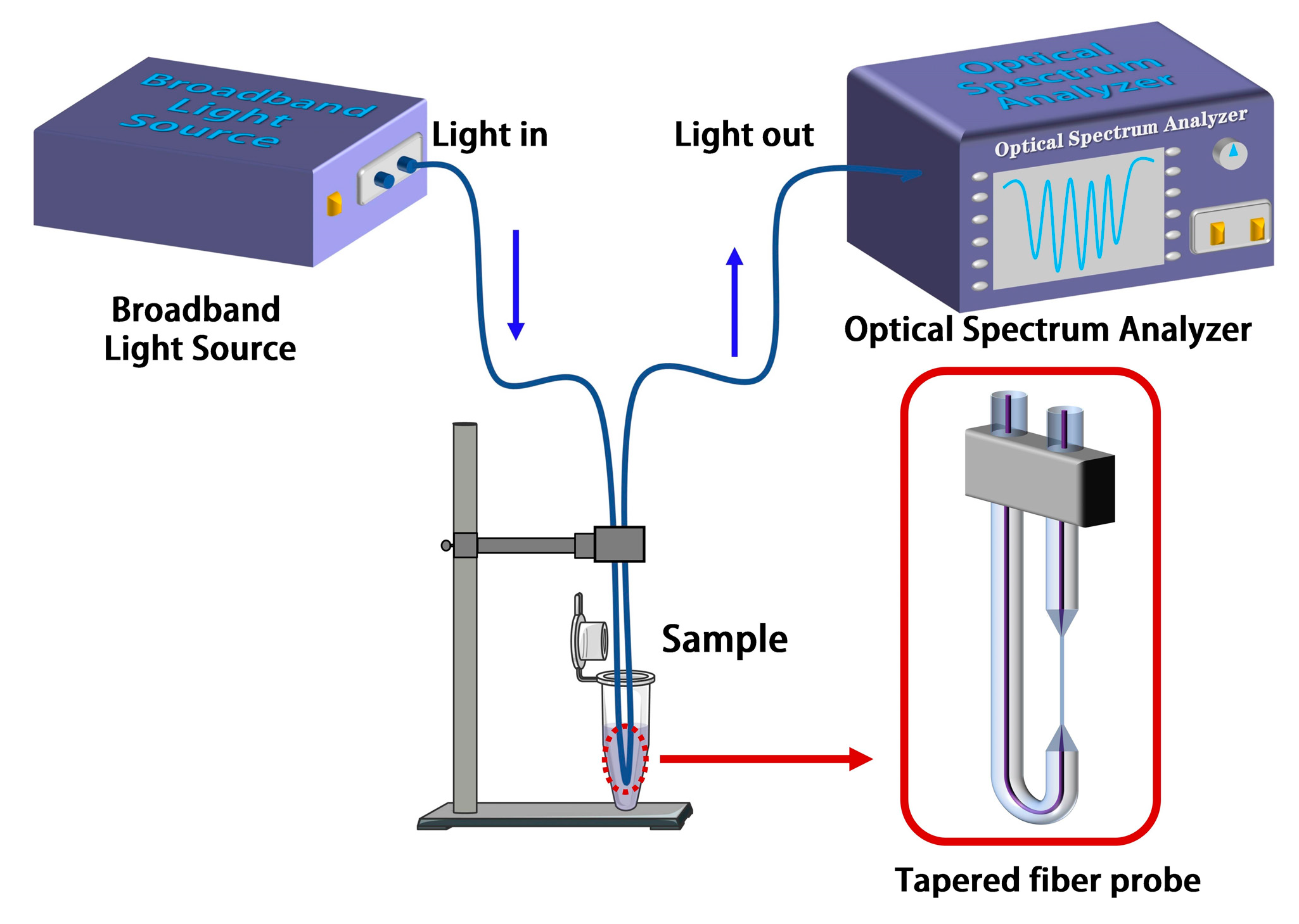 Biosensors 13 00940 g003