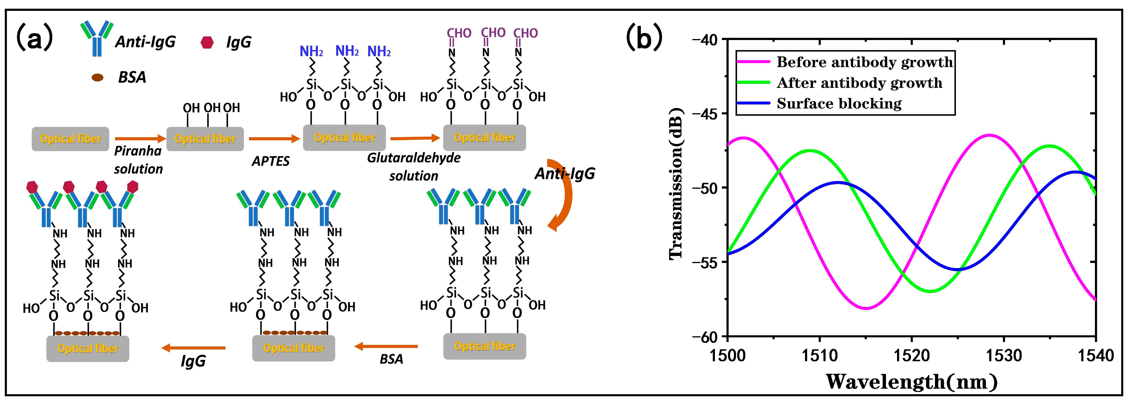 Biosensors 13 00940 g006