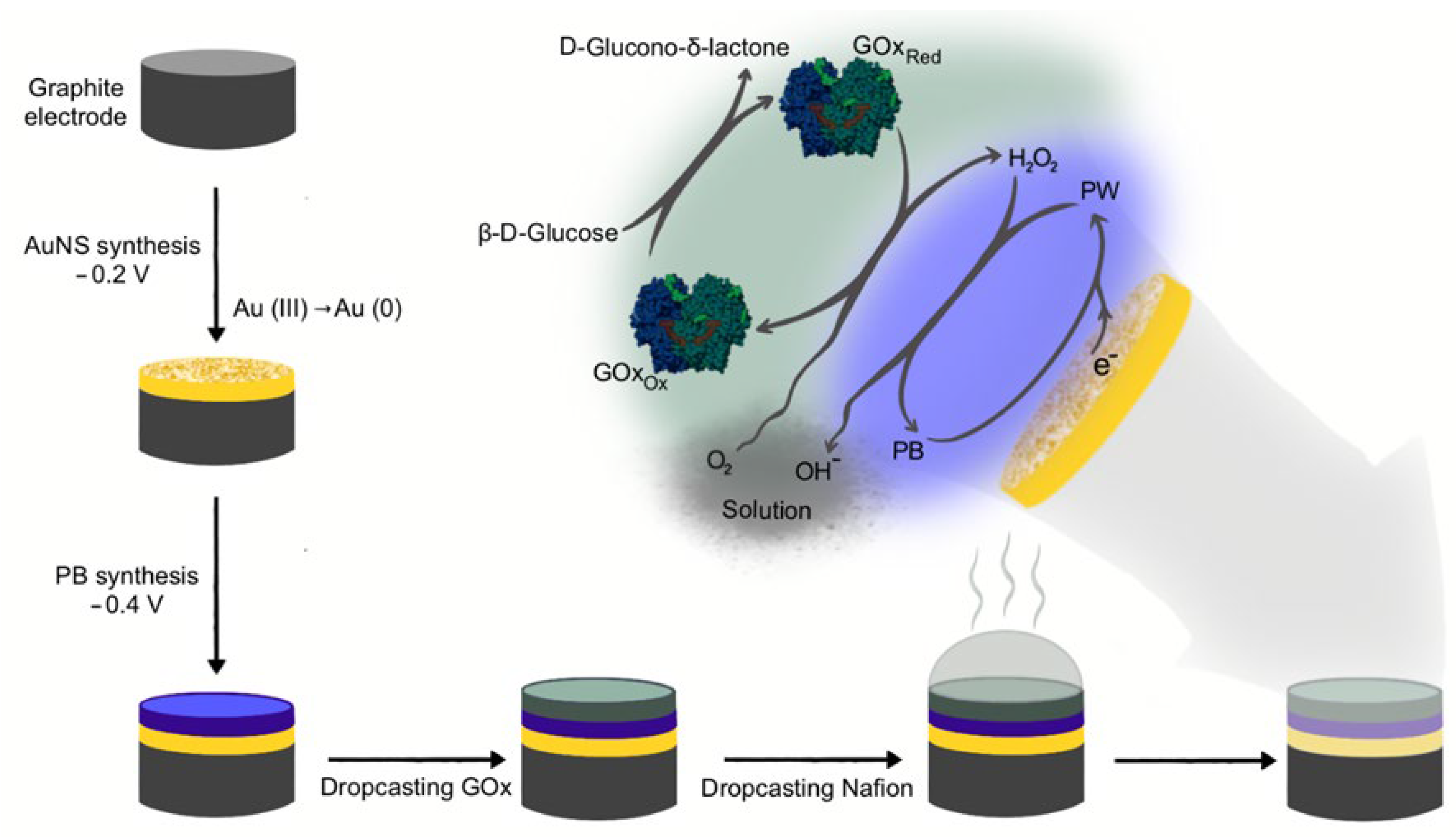 Biosensors 13 00942 g001