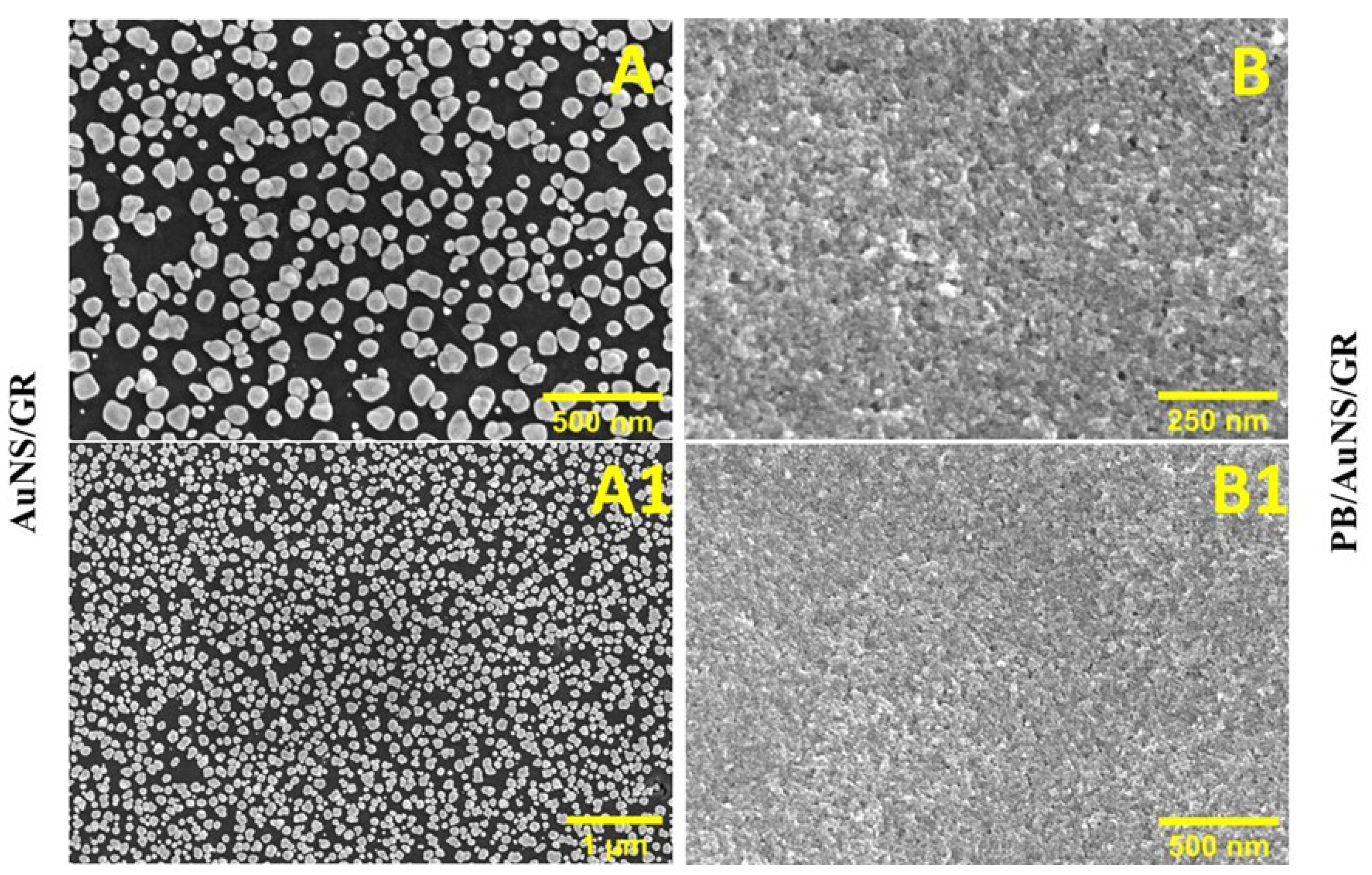 Biosensors 13 00942 g004