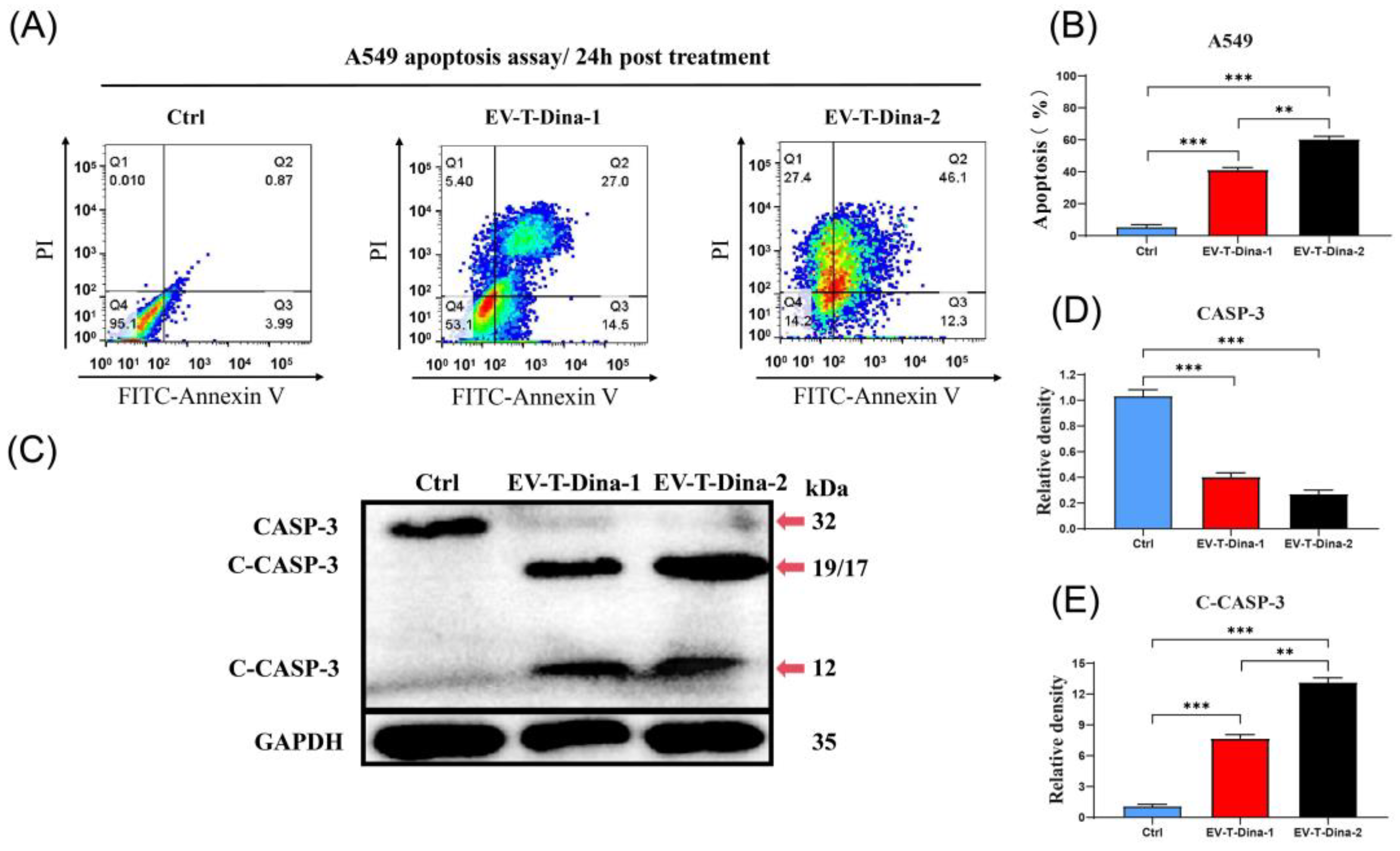 Biosensors 13 00946 g004