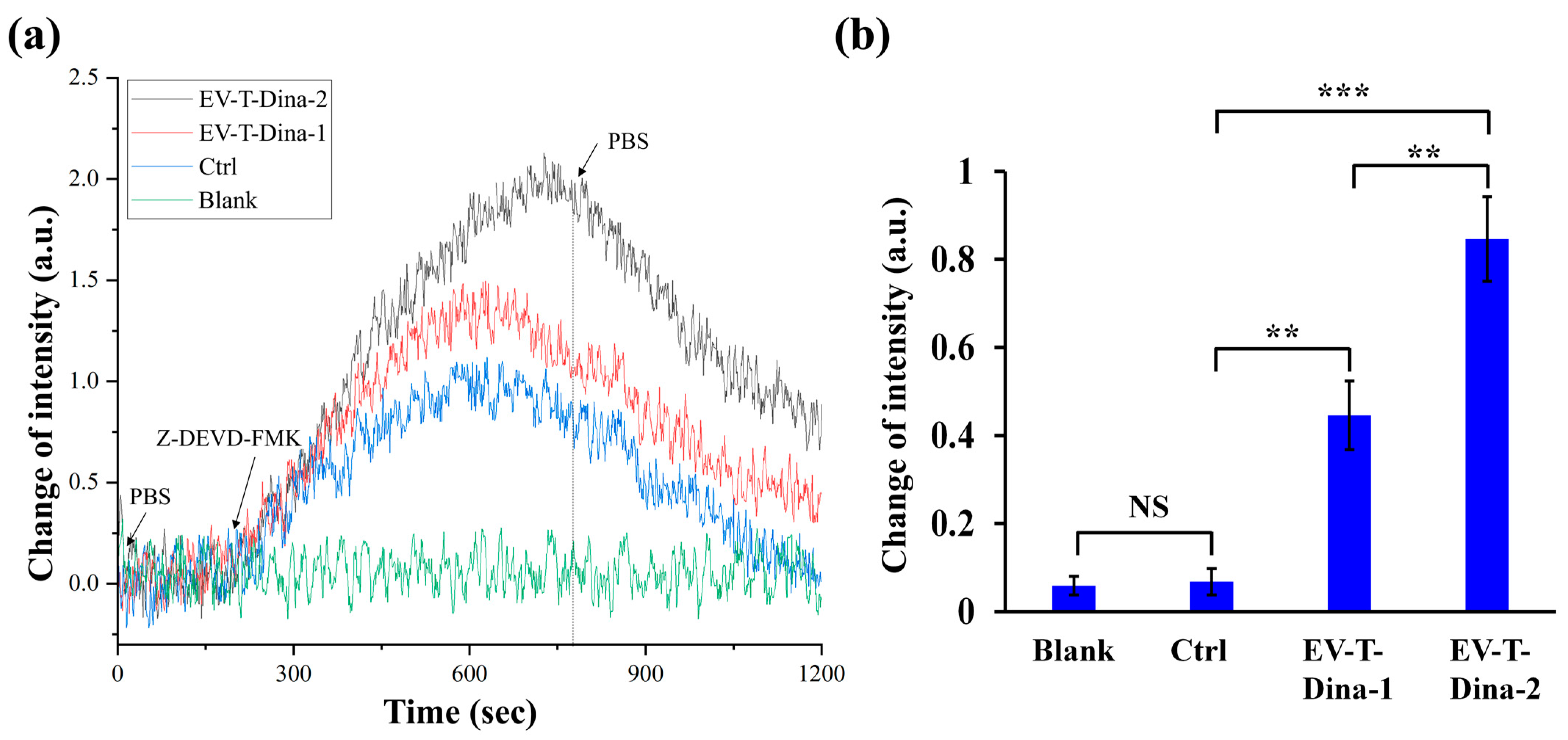 Biosensors 13 00946 g005