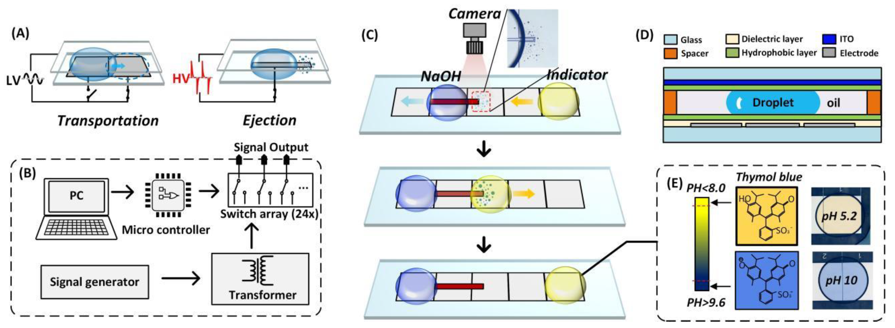Biosensors 13 00951 g001