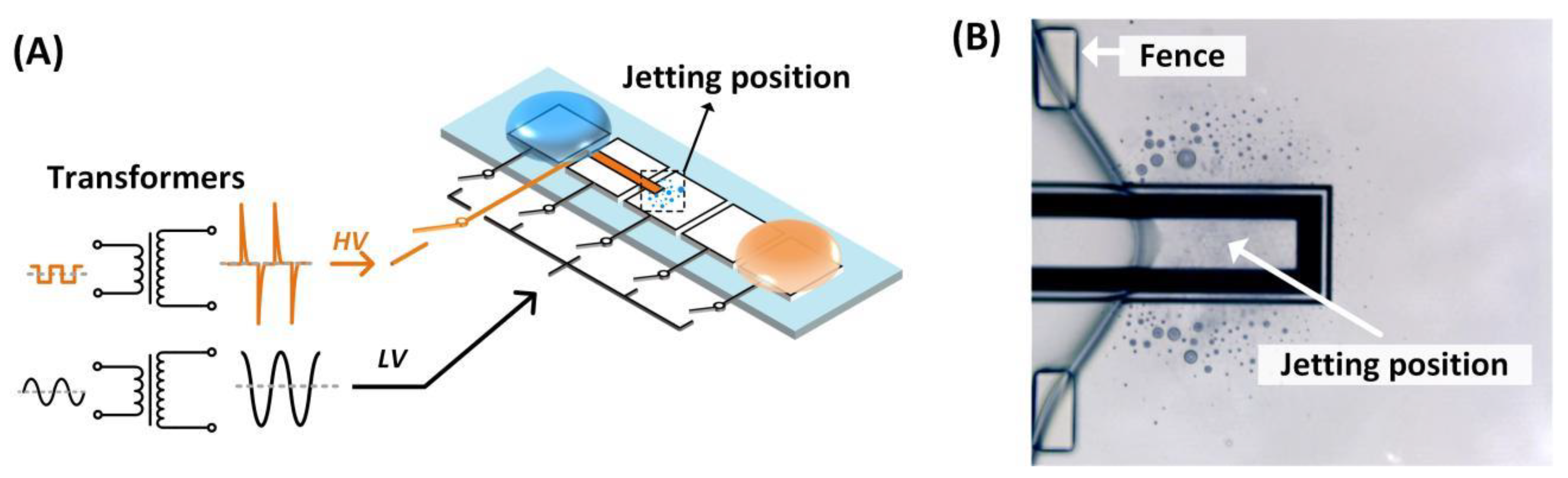 Biosensors 13 00951 g002