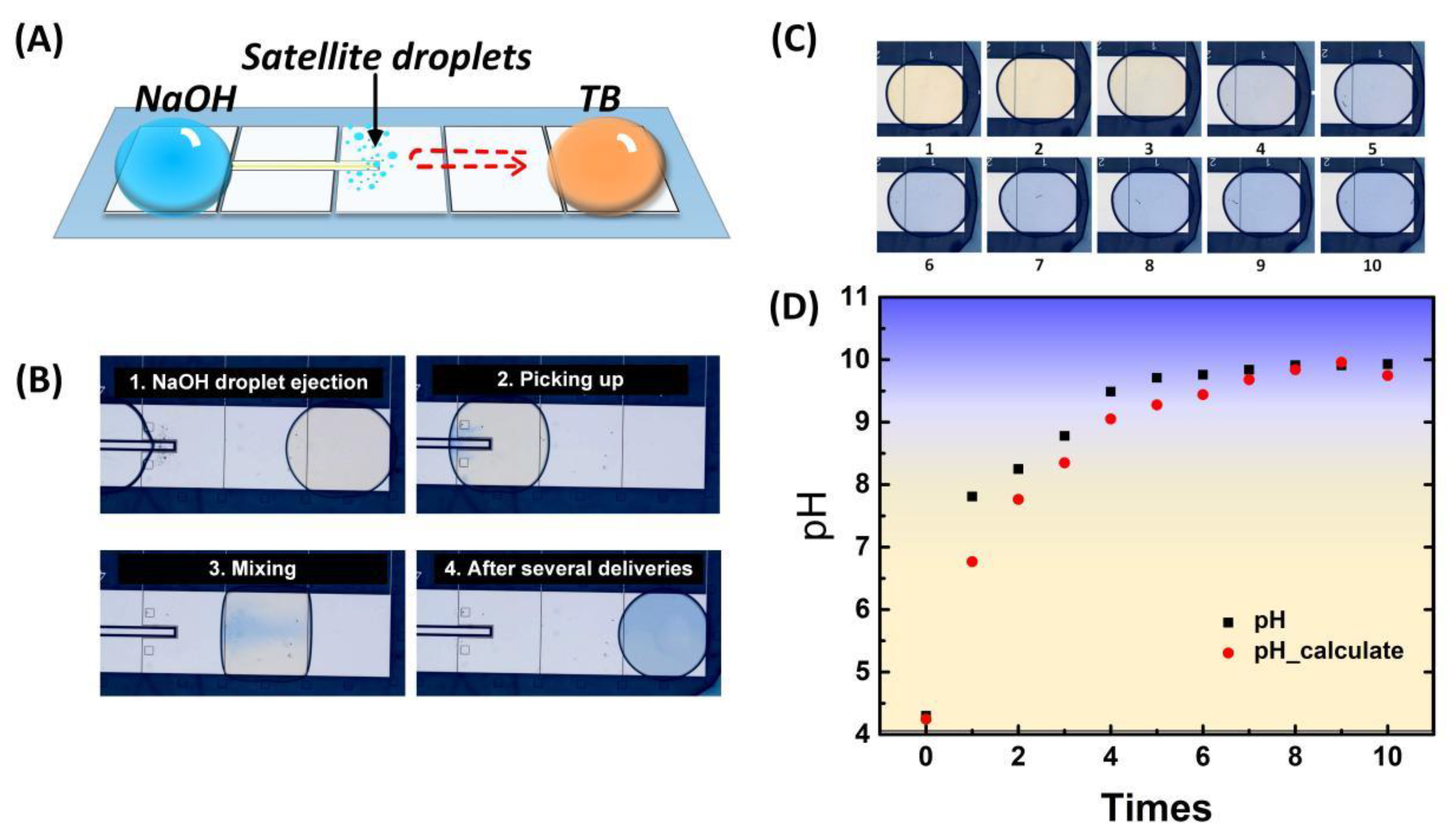Biosensors 13 00951 g005
