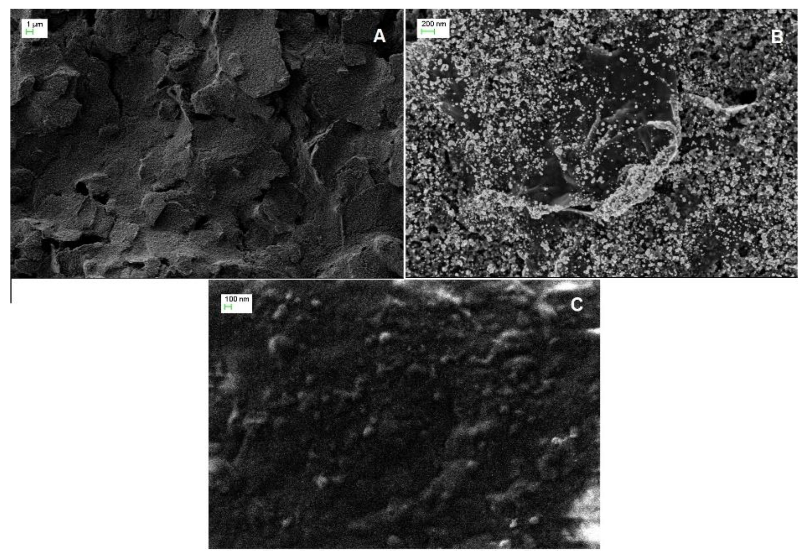 Biosensors 13 00954 g001