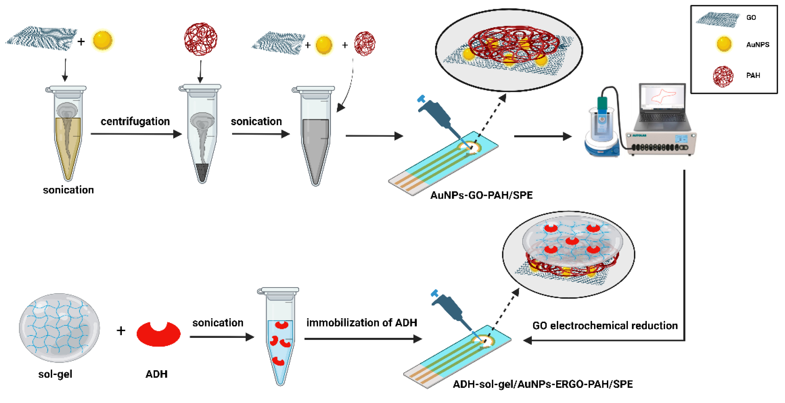 Biosensors 13 00954 sch001