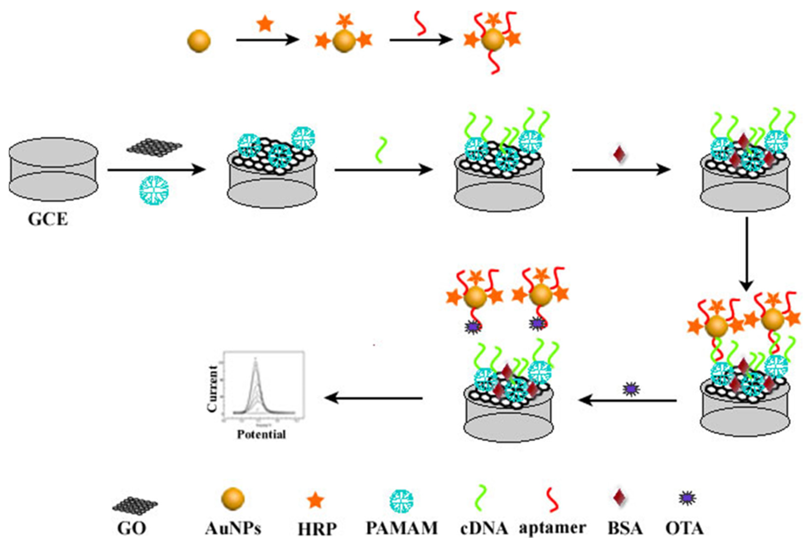 Biosensors 13 00955 g001