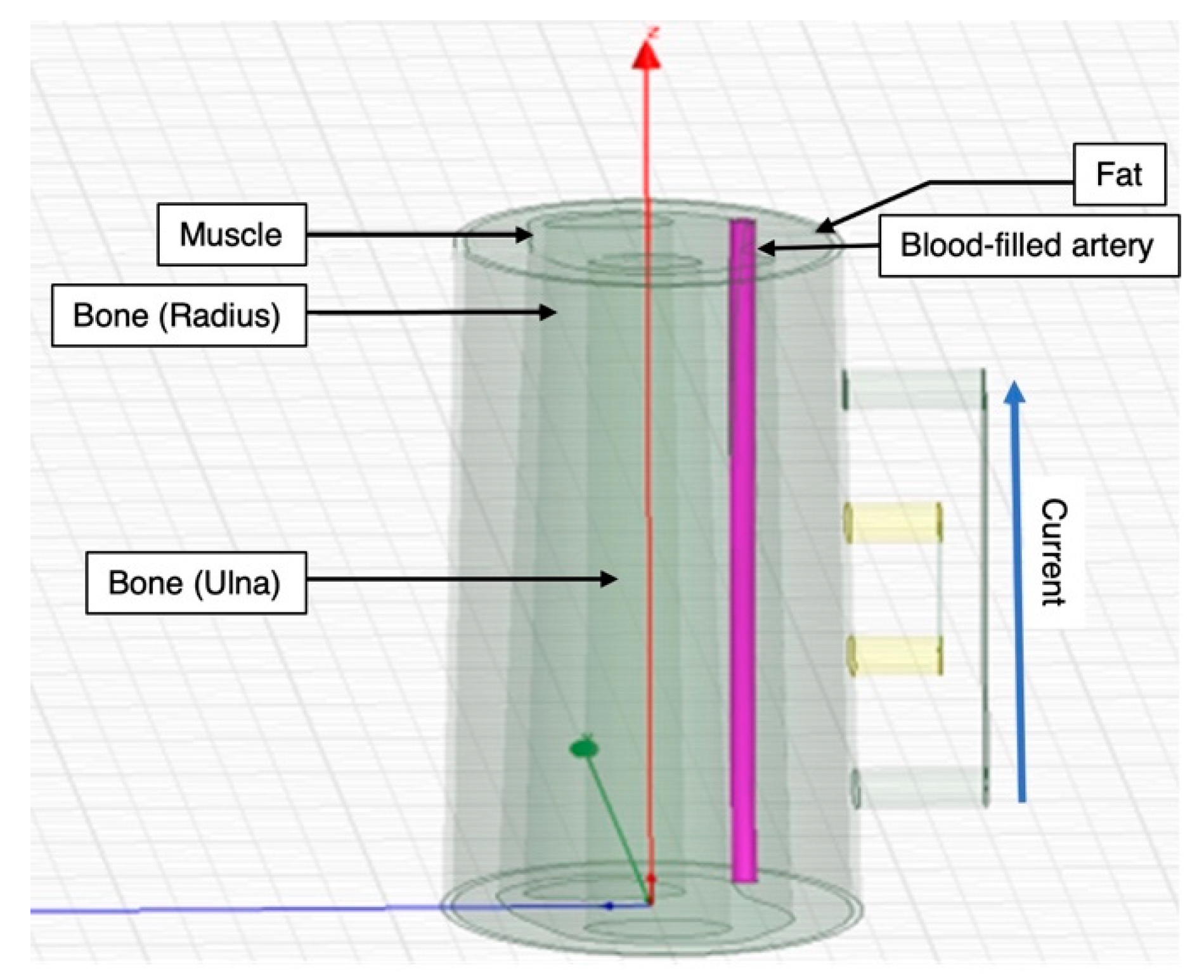 Biosensors 13 00961 g001