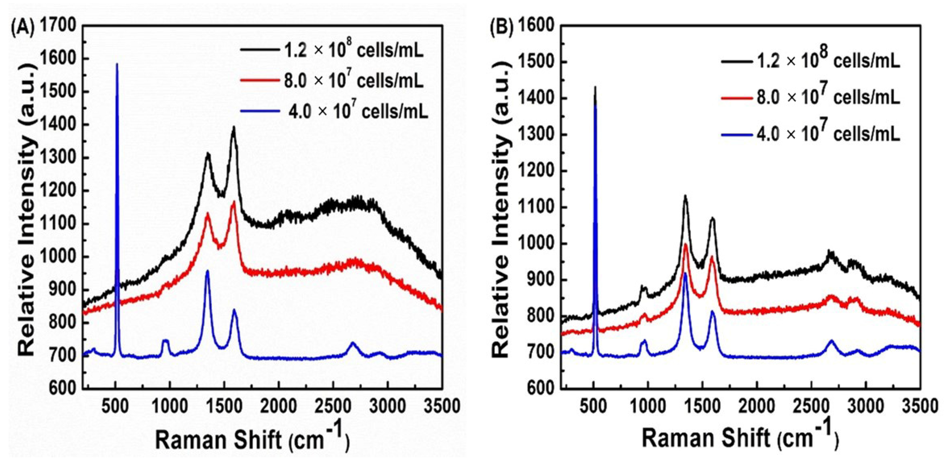 Biosensors 13 00962 g006