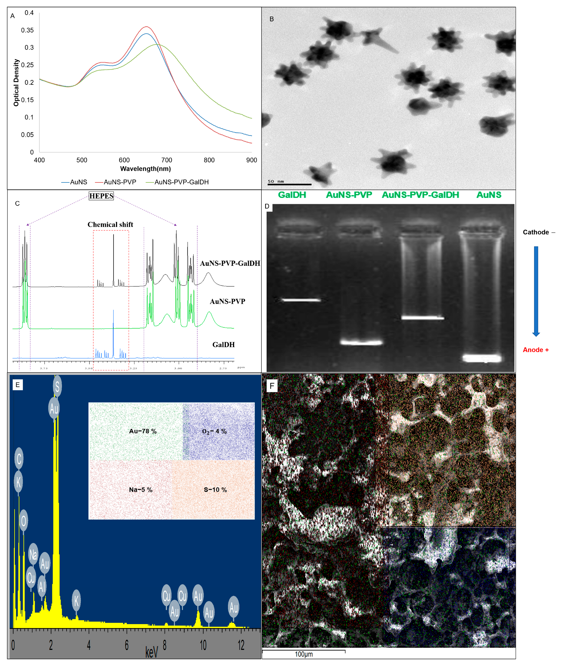 Biosensors 13 00965 g001
