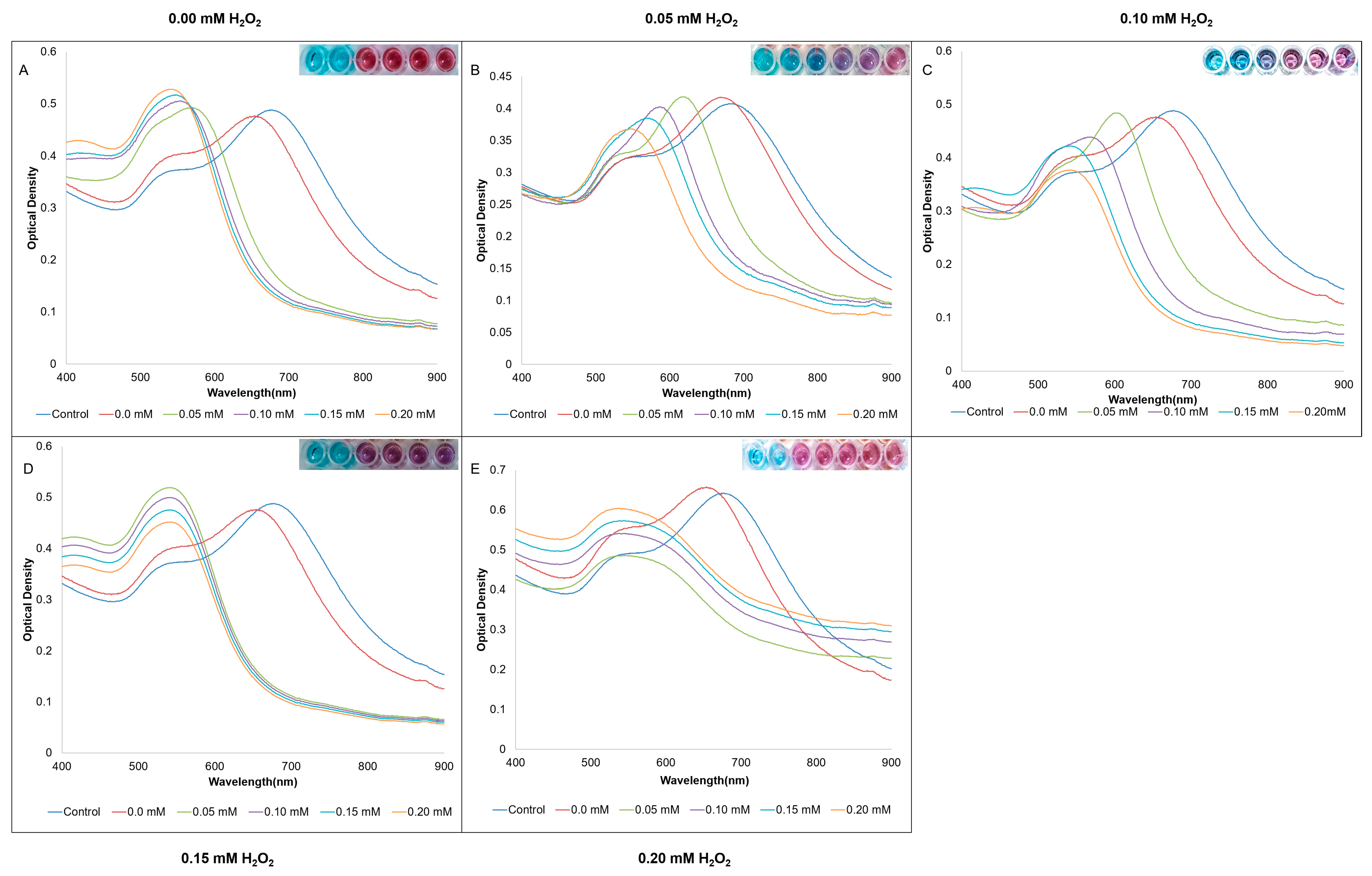 Biosensors 13 00965 g002