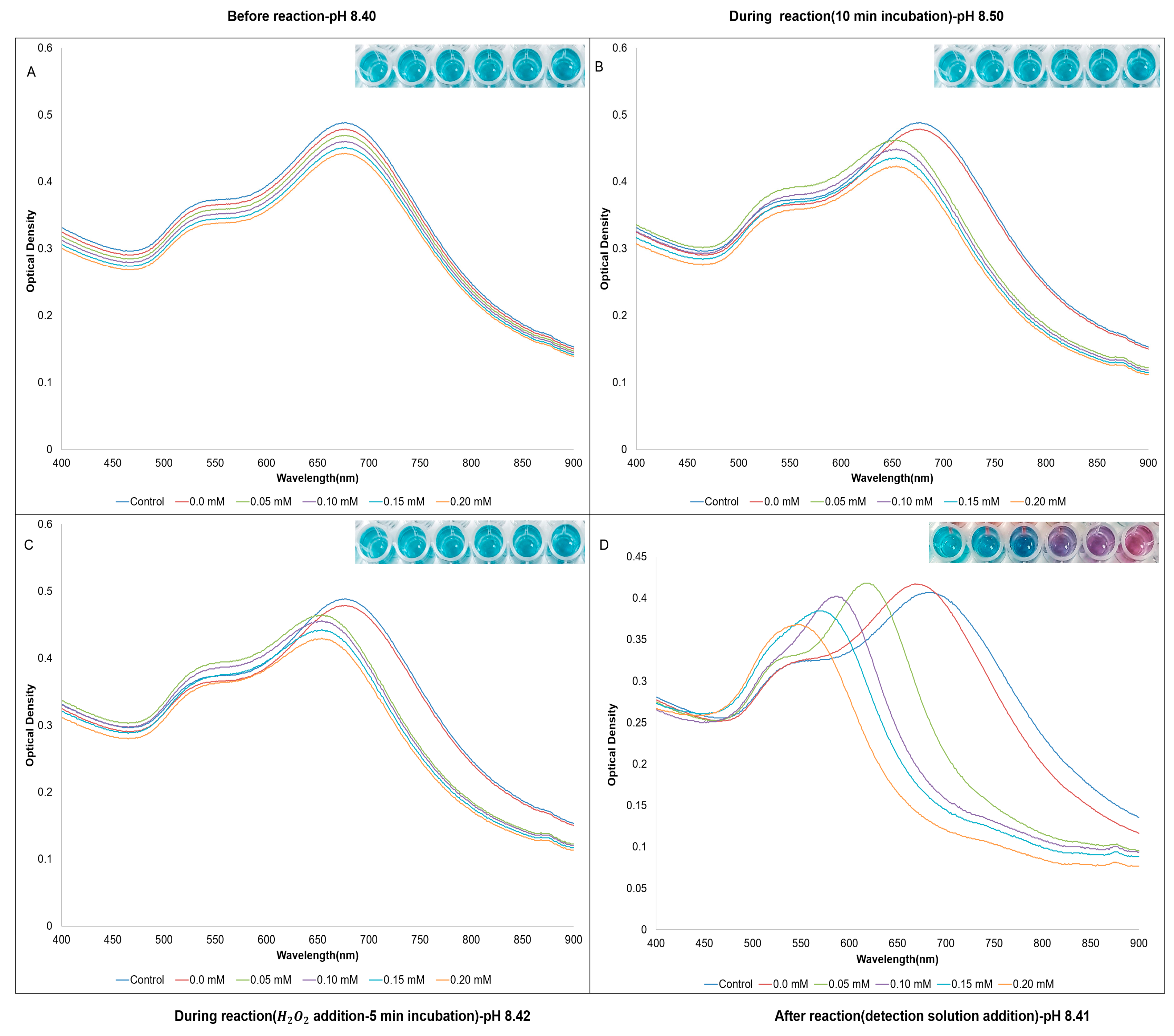 Biosensors 13 00965 g006