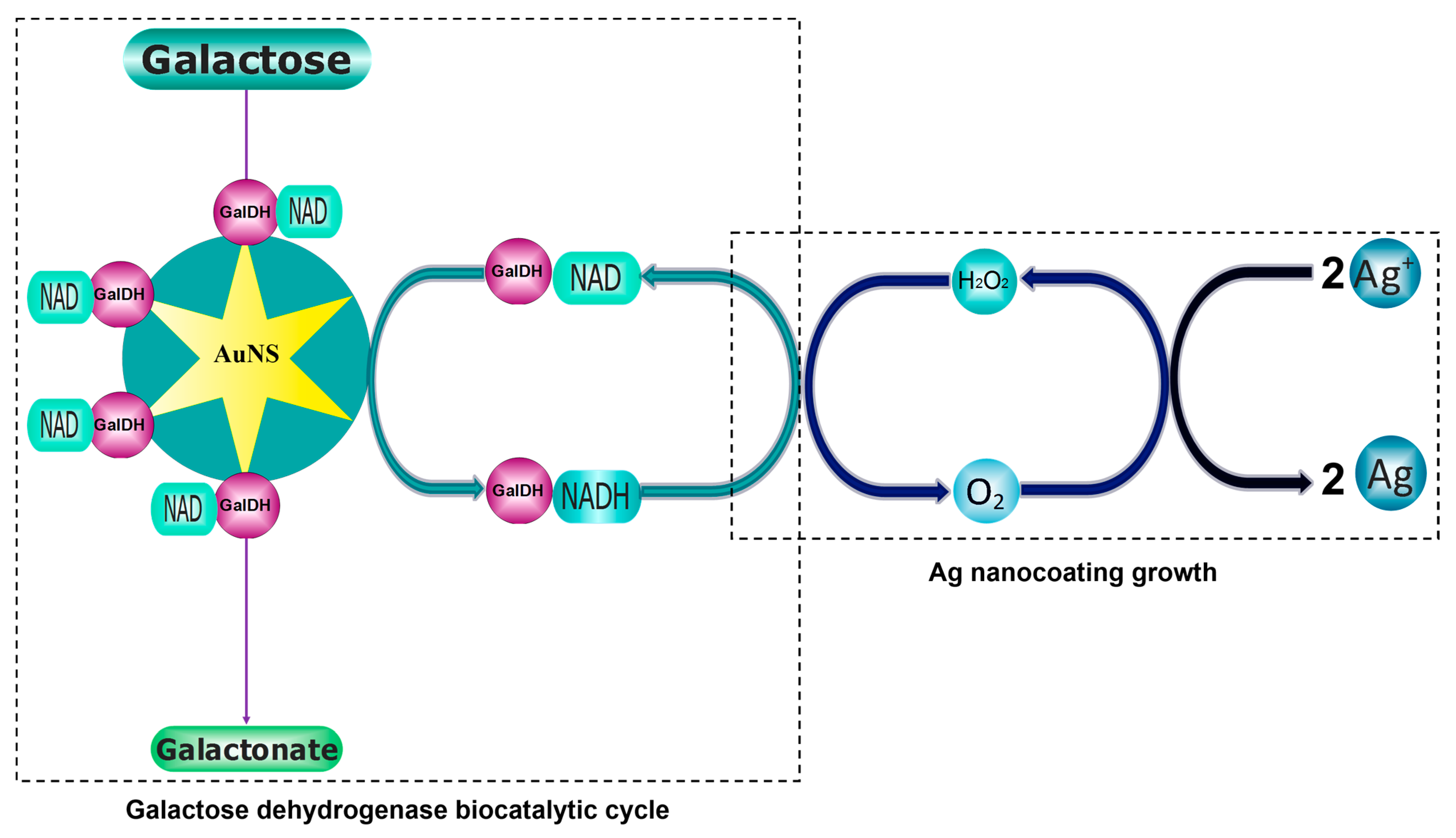 Biosensors 13 00965 sch001