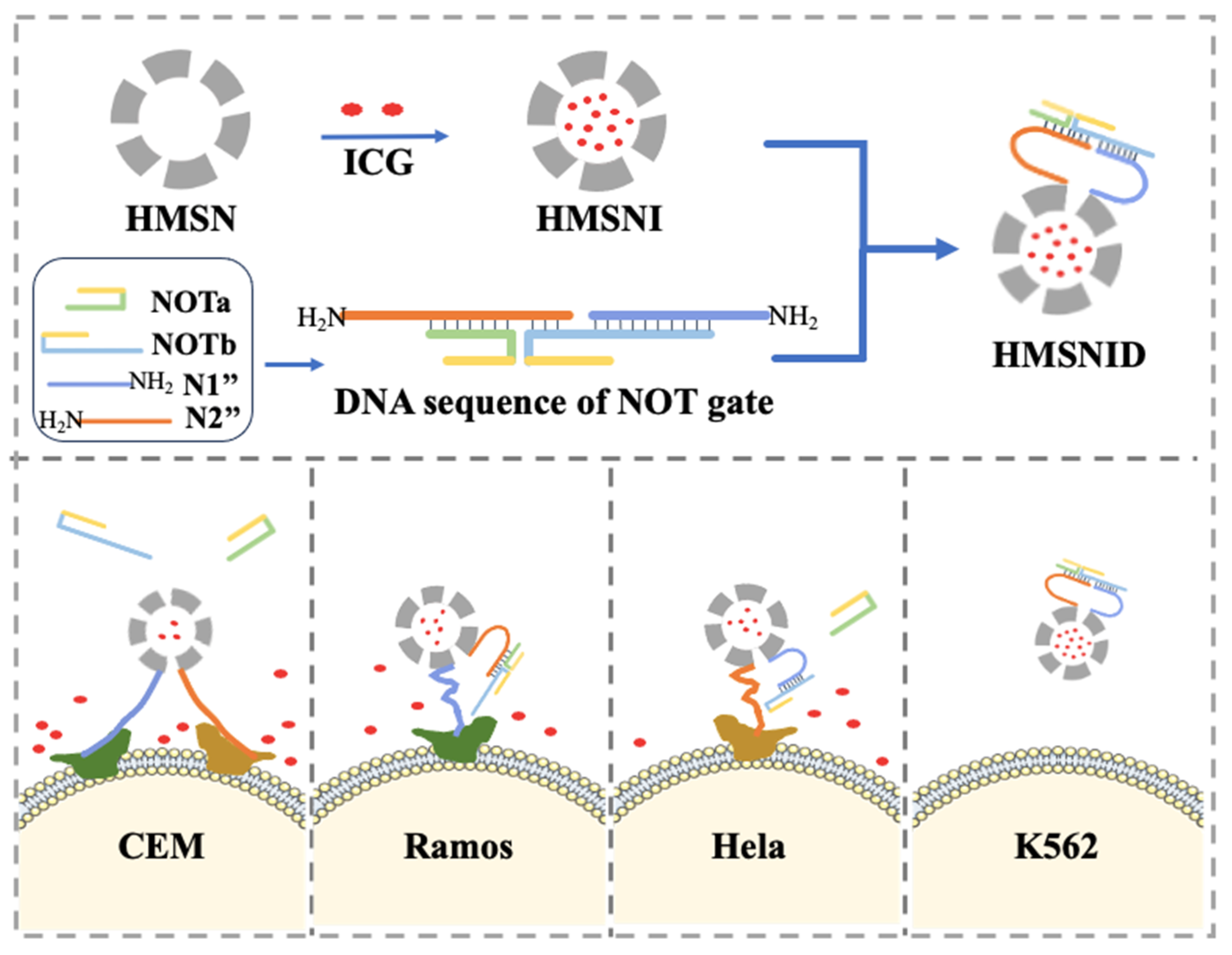 Biosensors 13 00968 g006