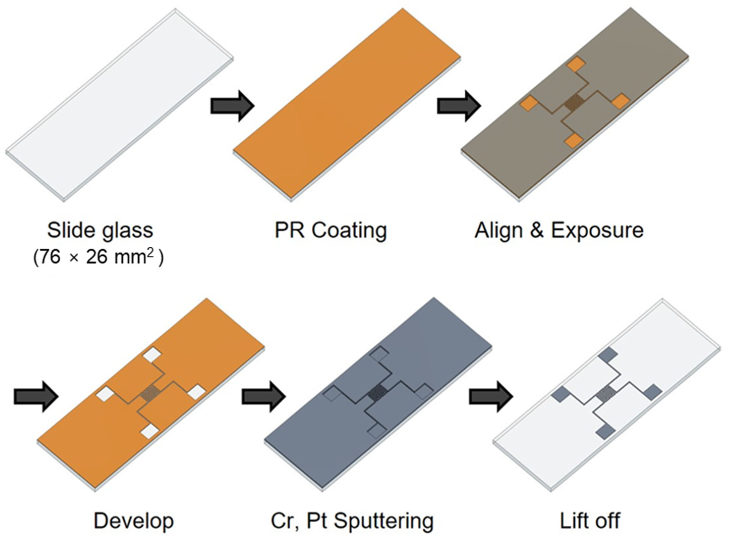 Biosensors 13 00970 g001