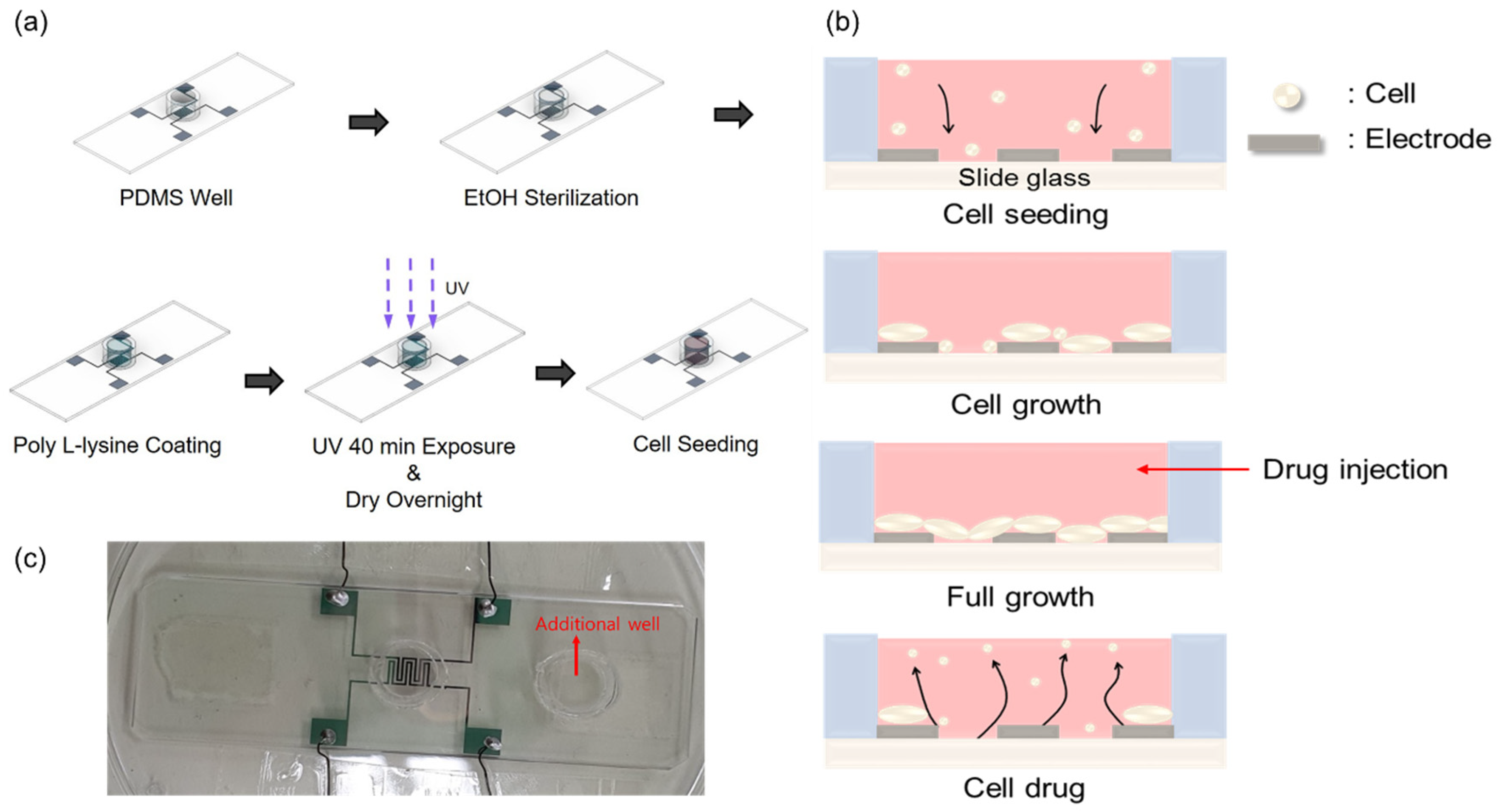 Biosensors 13 00970 g002