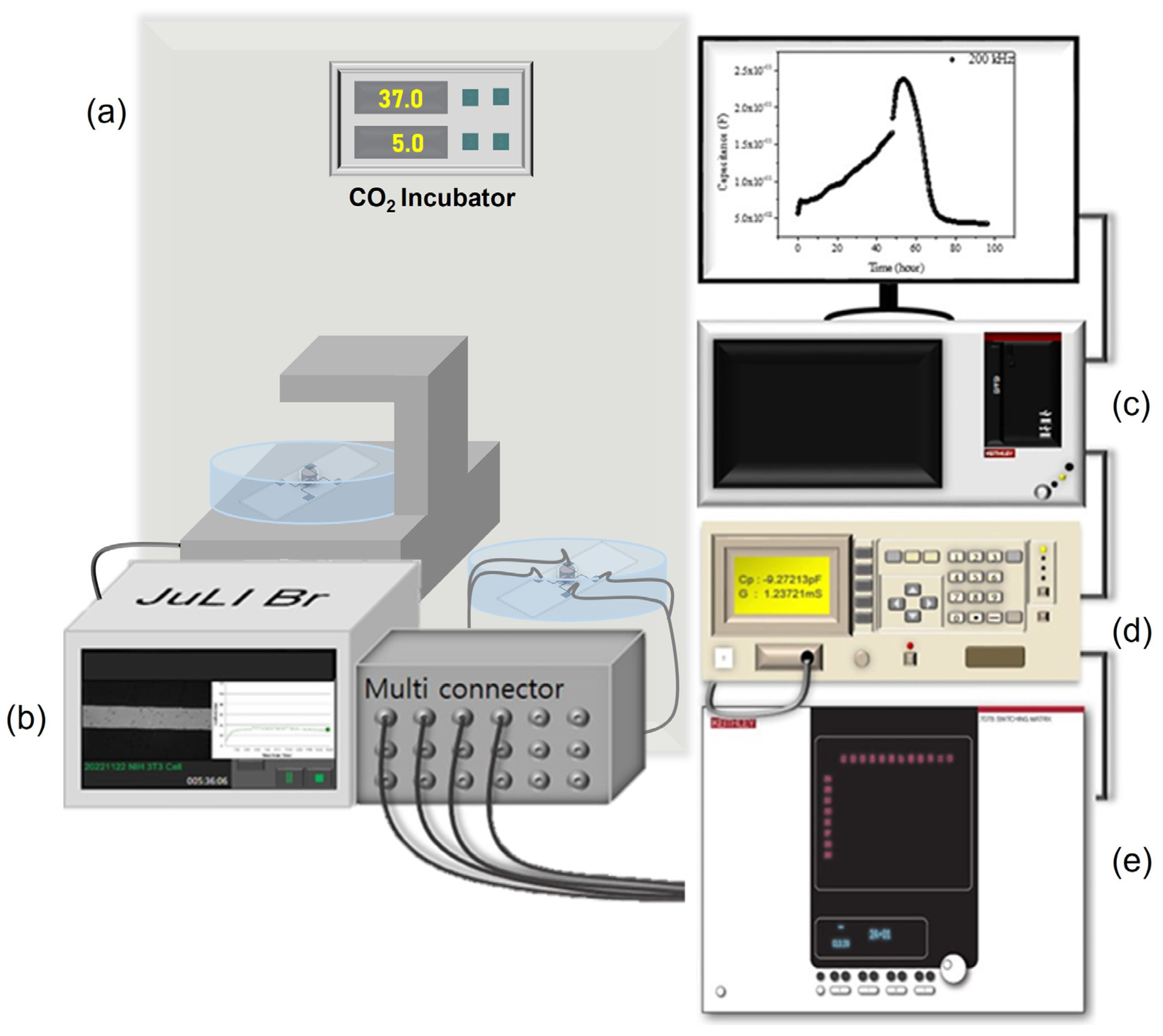 Biosensors 13 00970 g004