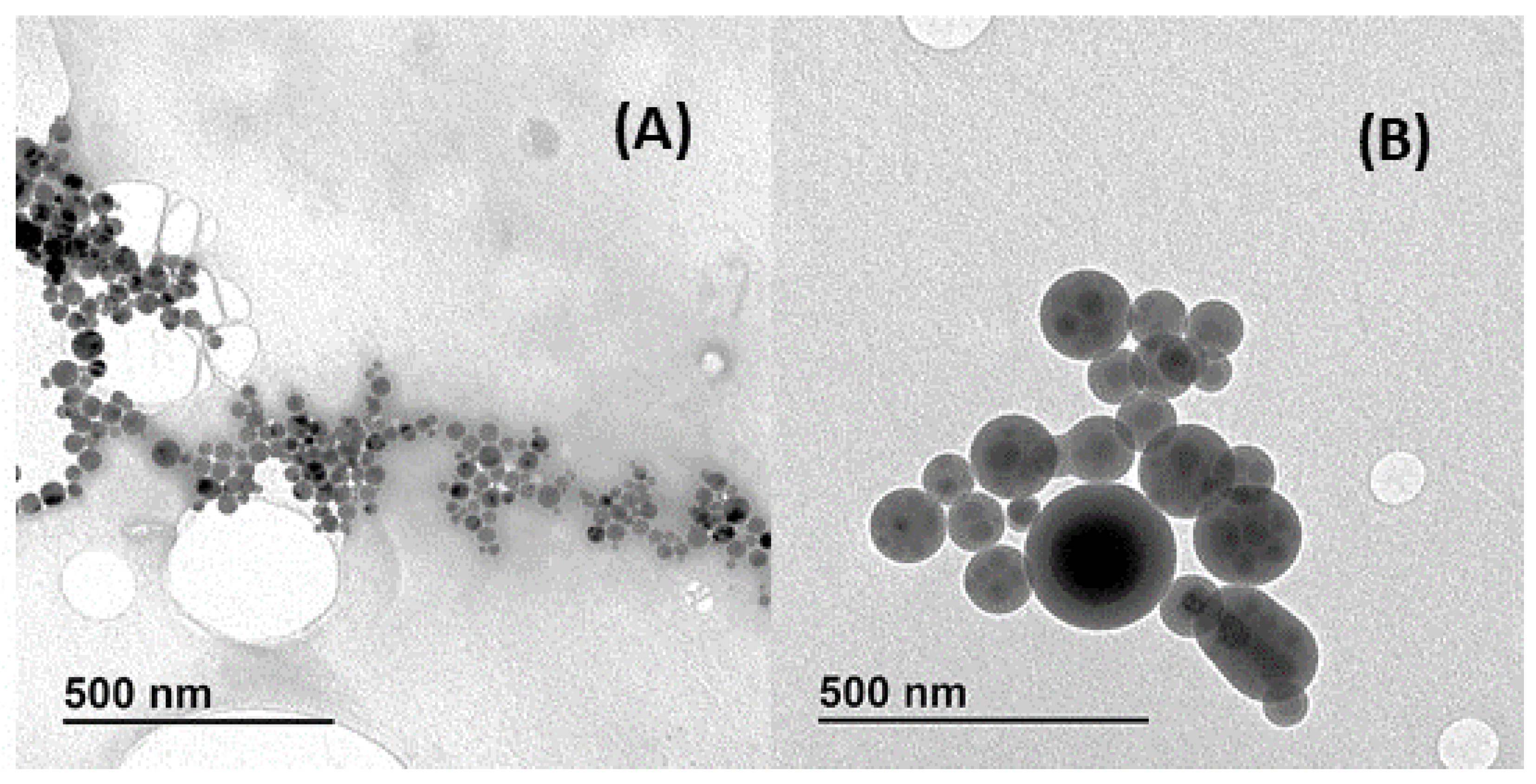 Biosensors 13 00972 g003